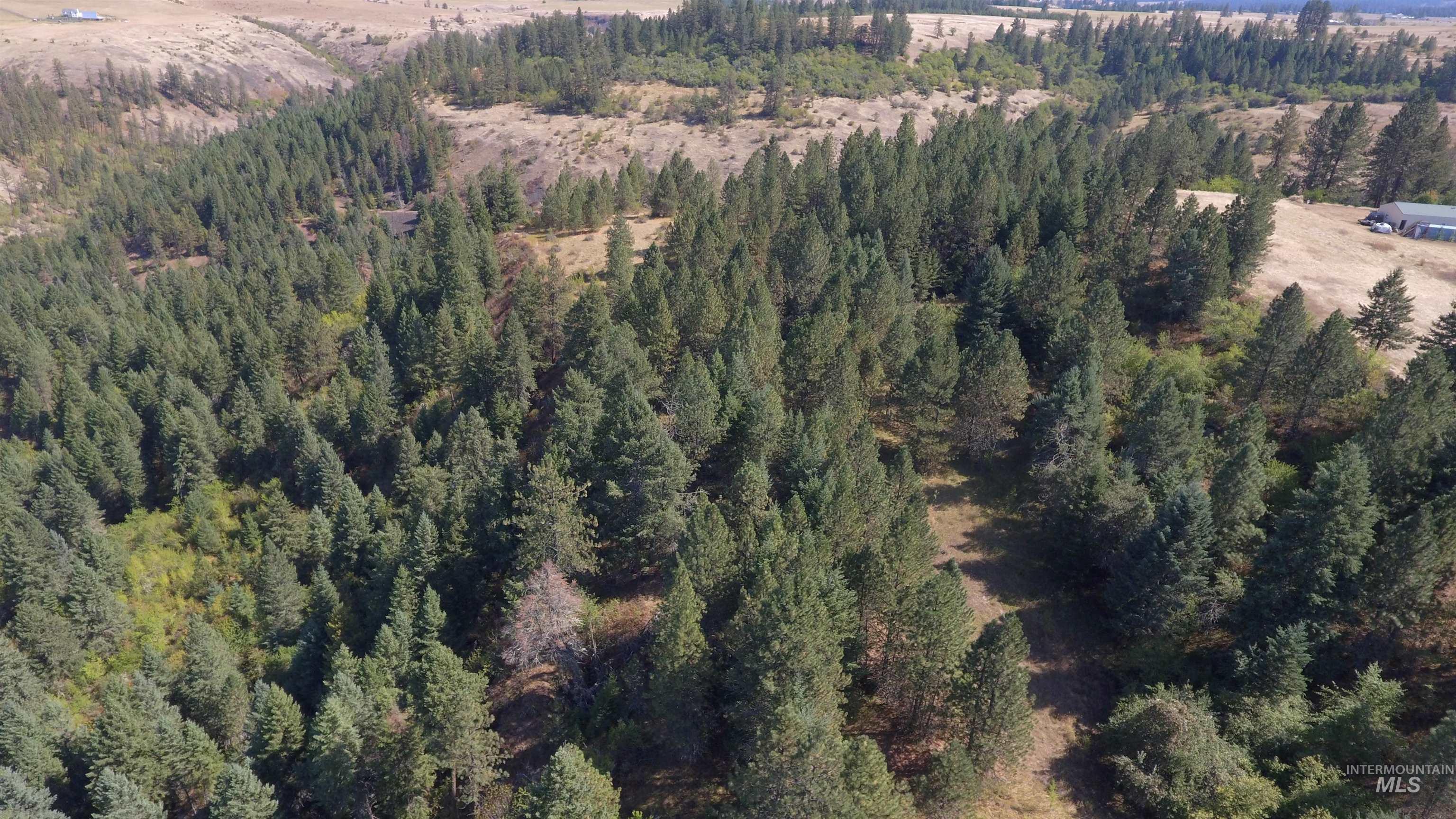 Tbd Dalton Acres Rd Property Photo 31
