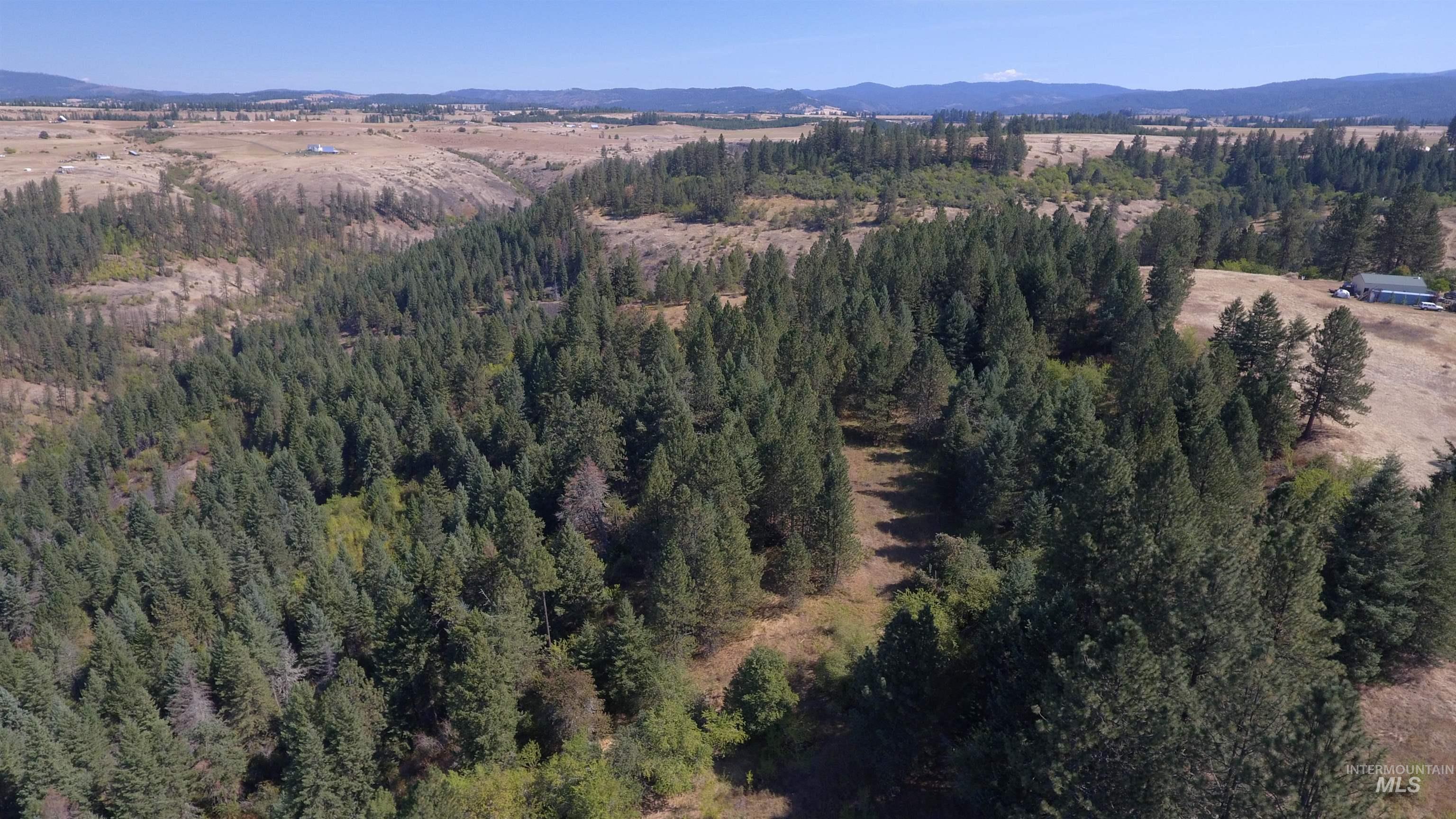 Tbd Dalton Acres Rd Property Photo 32