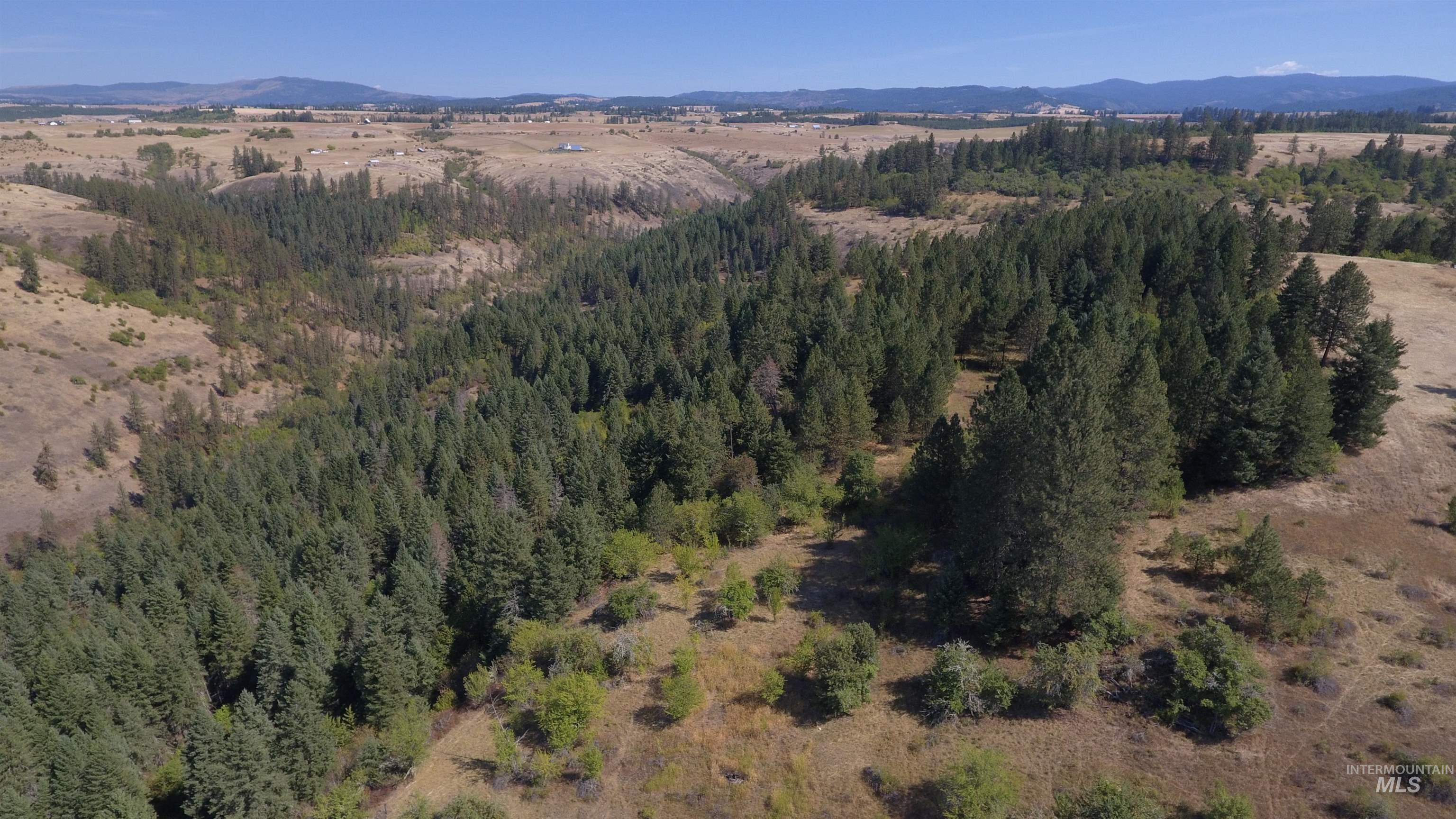 Tbd Dalton Acres Rd Property Photo 33