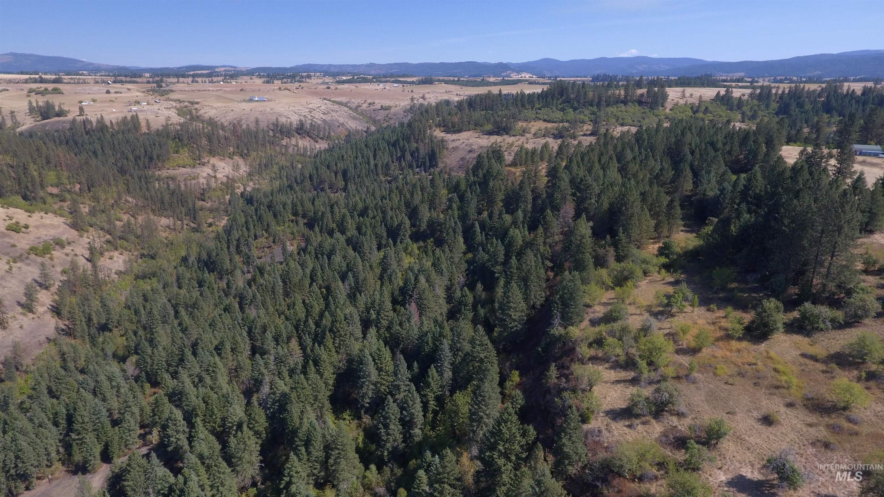 Tbd Dalton Acres Rd Property Photo 34