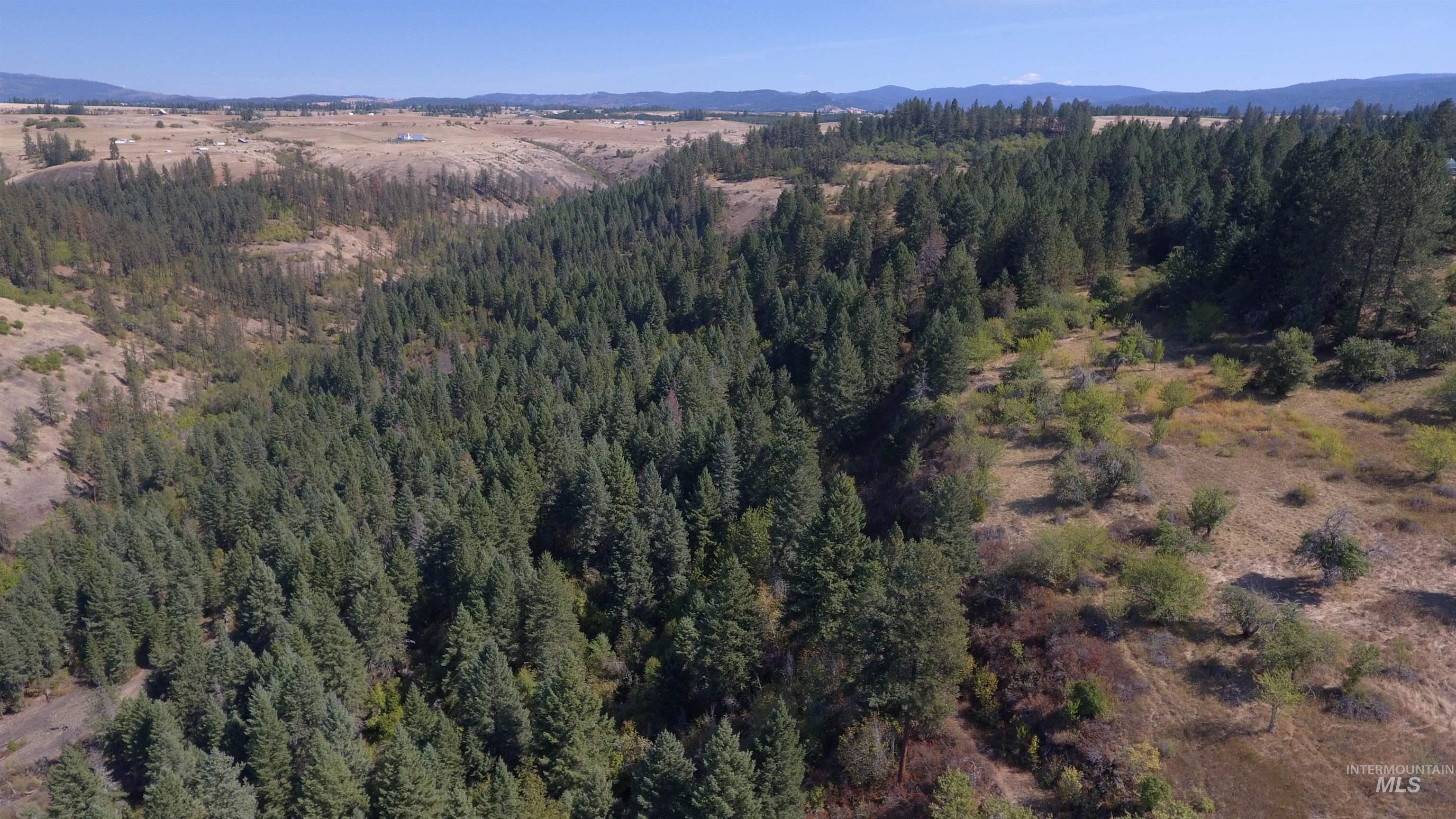Tbd Dalton Acres Rd Property Photo 35