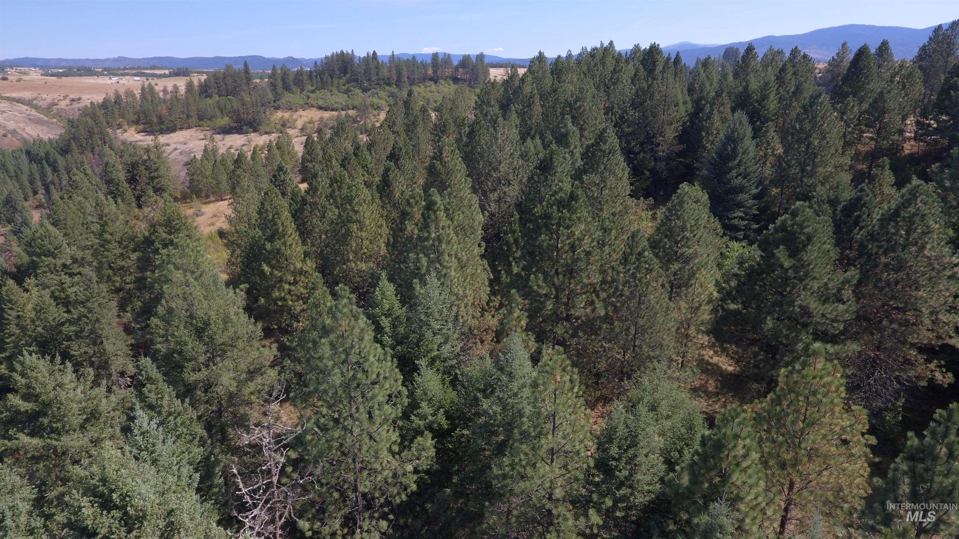 Tbd Dalton Acres Rd Property Photo 37