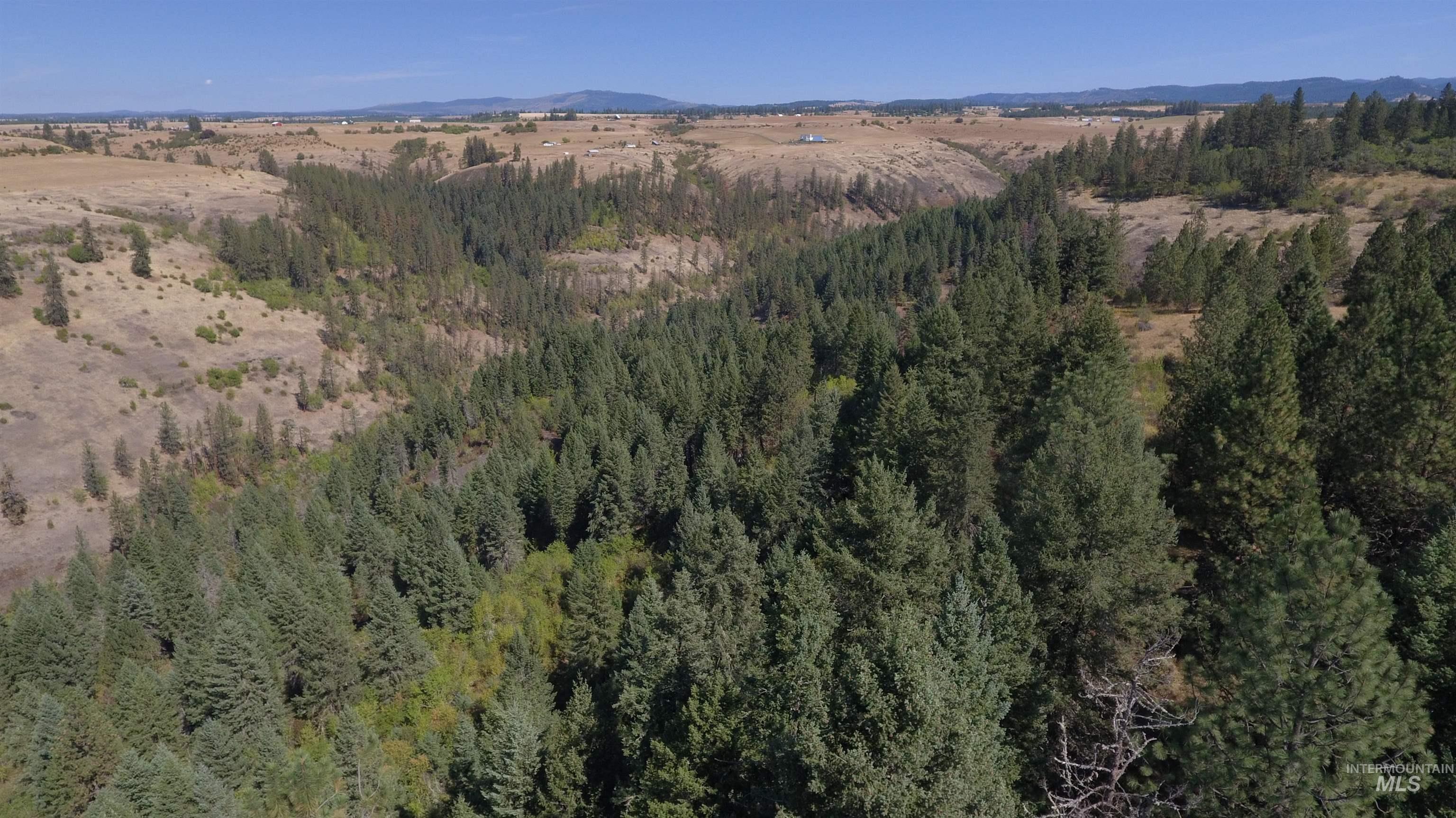 Tbd Dalton Acres Rd Property Photo 38
