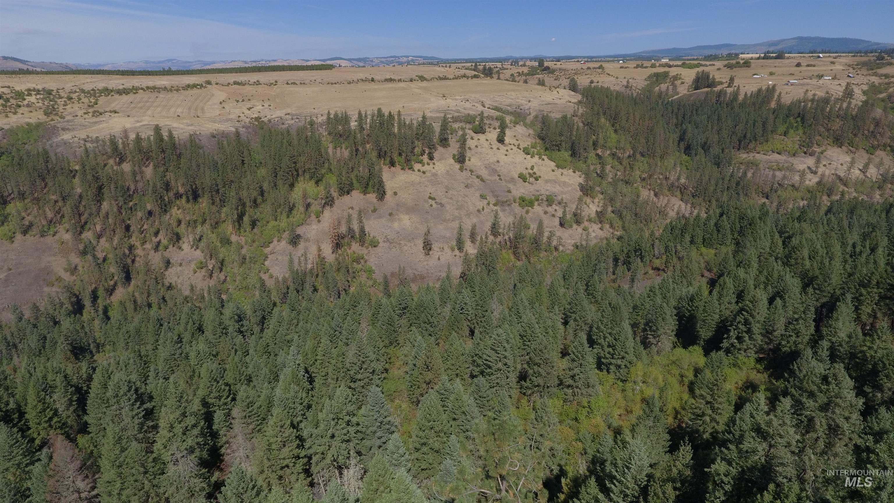 Tbd Dalton Acres Rd Property Photo 39