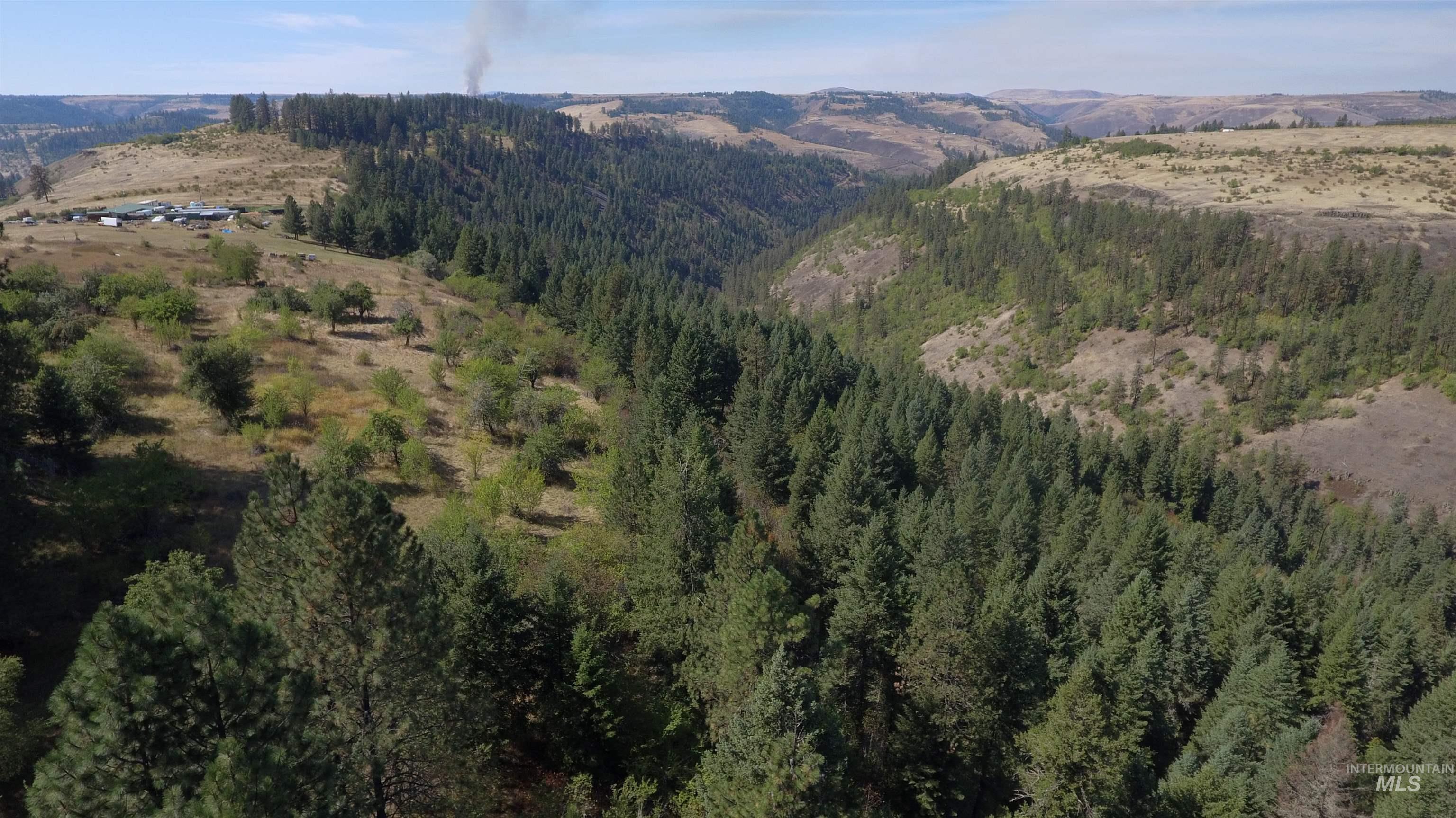 Tbd Dalton Acres Rd Property Photo 41