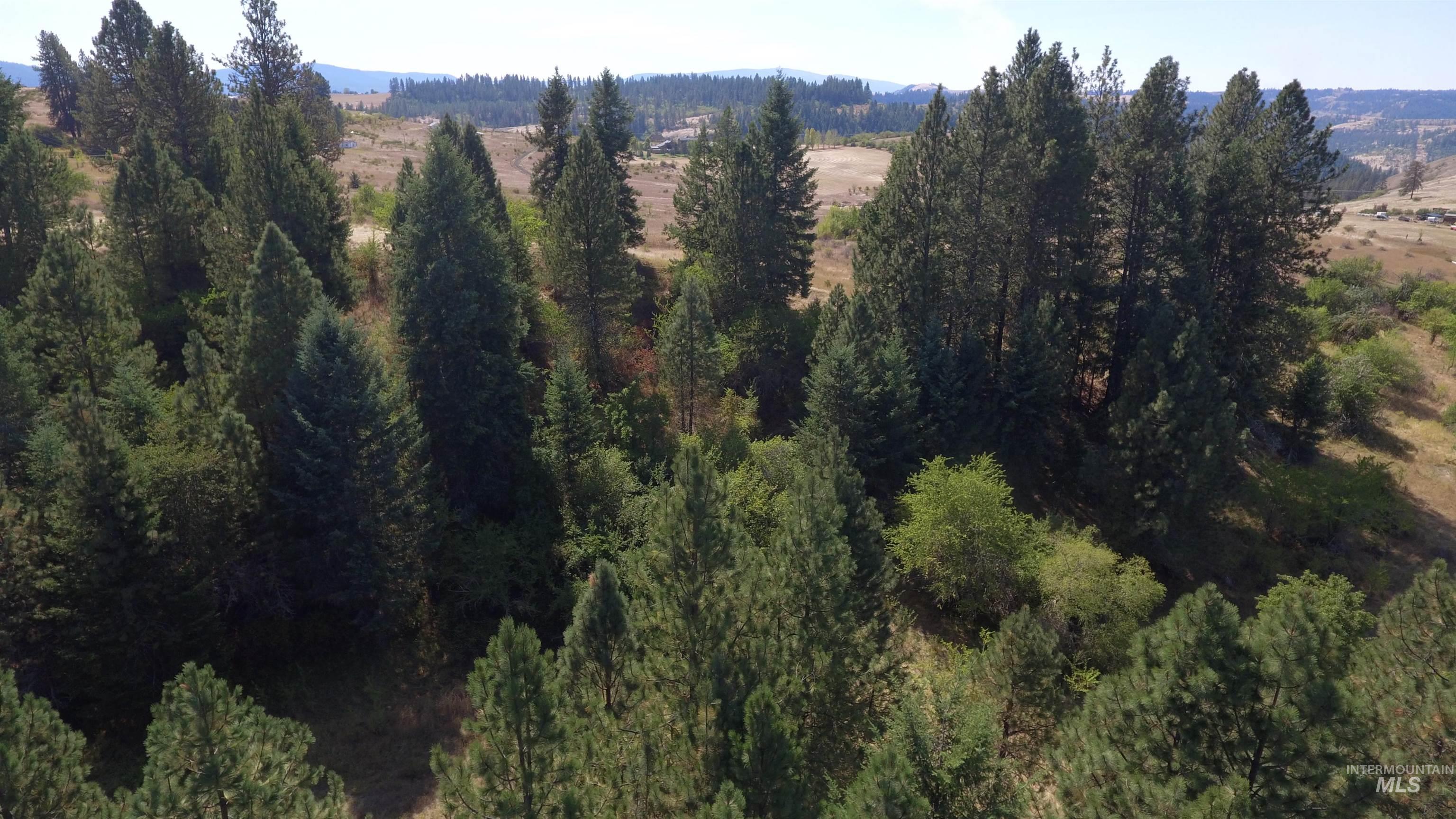 Tbd Dalton Acres Rd Property Photo 42