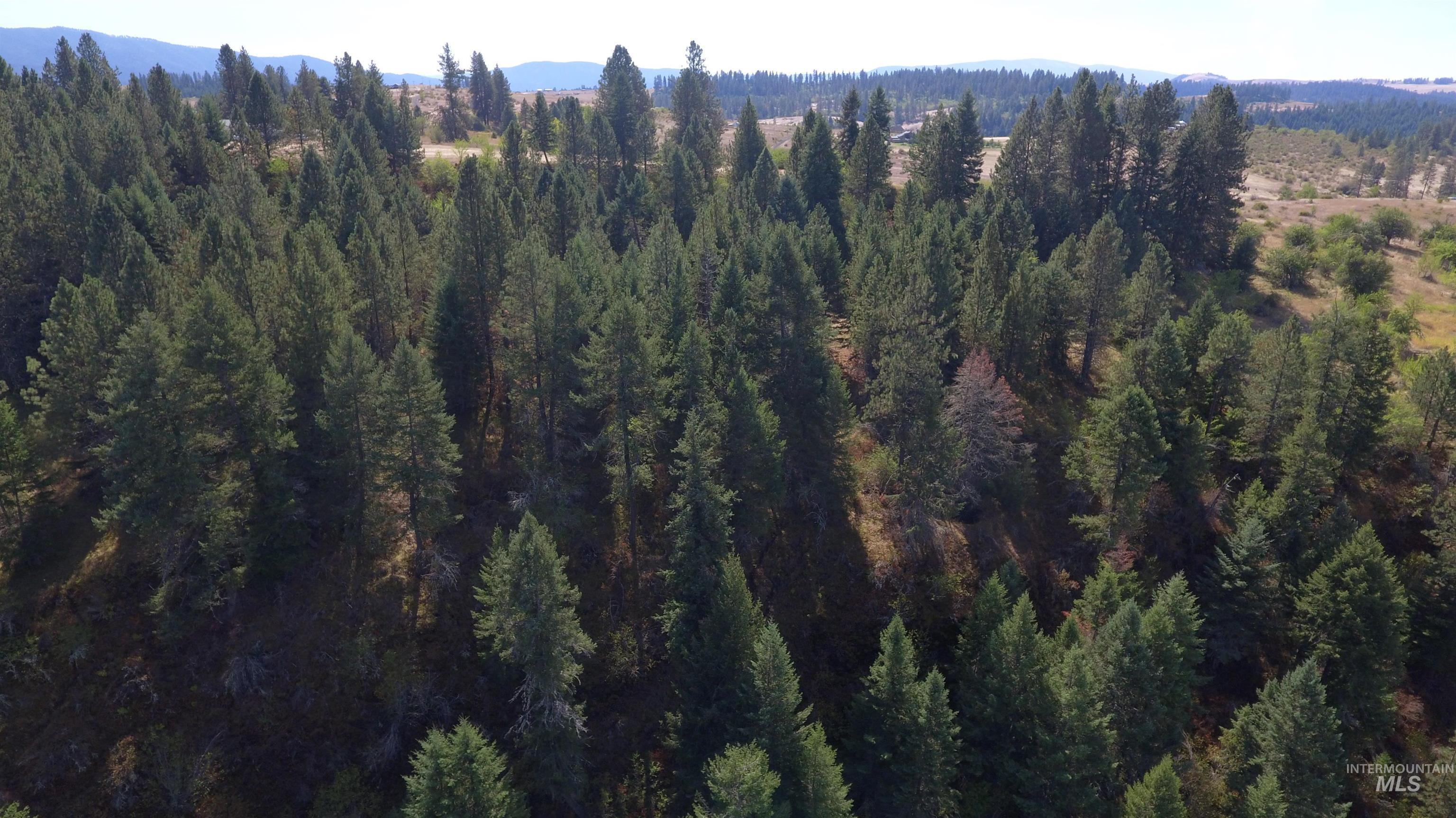 Tbd Dalton Acres Rd Property Photo 43