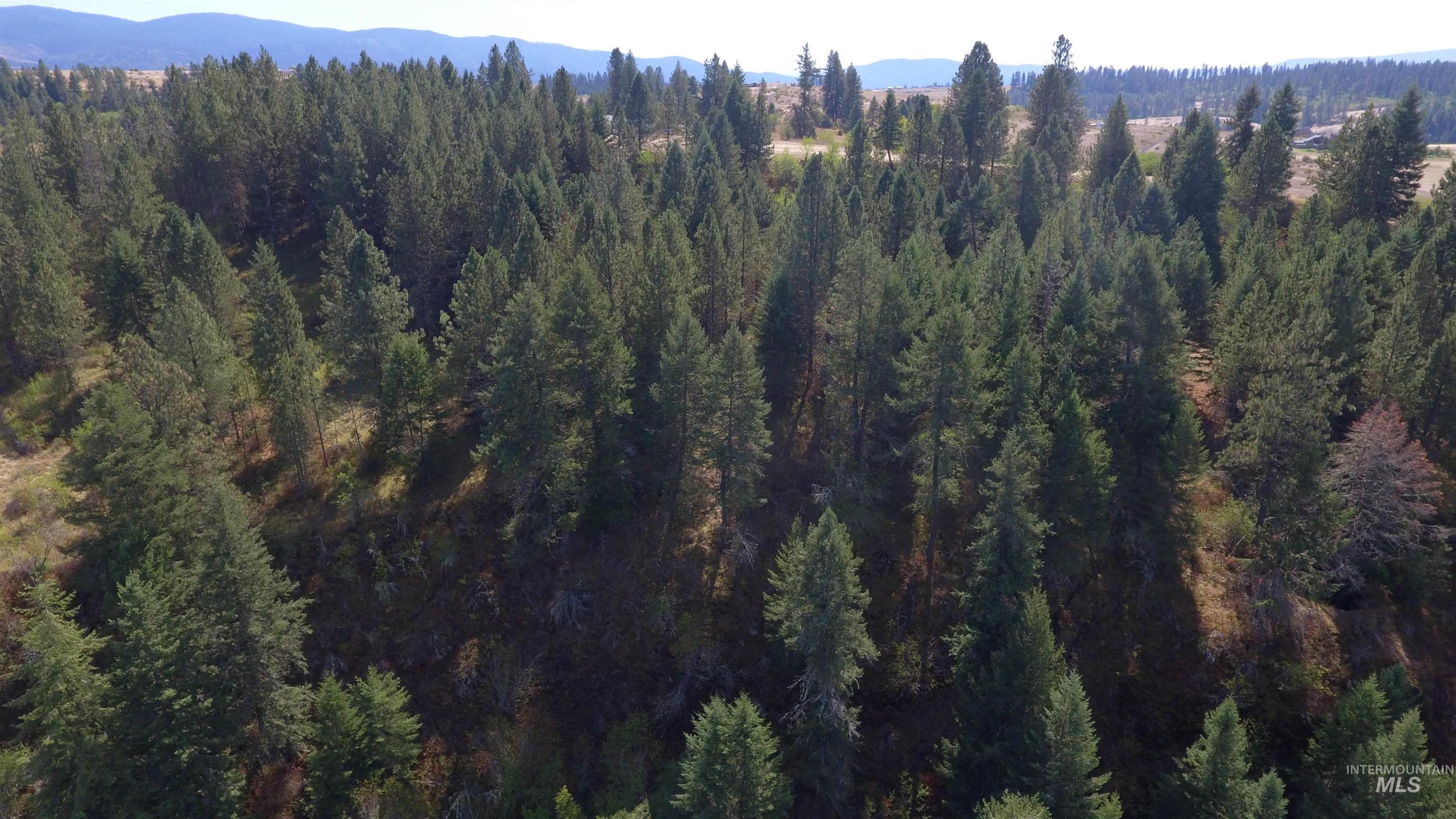 Tbd Dalton Acres Rd Property Photo 44