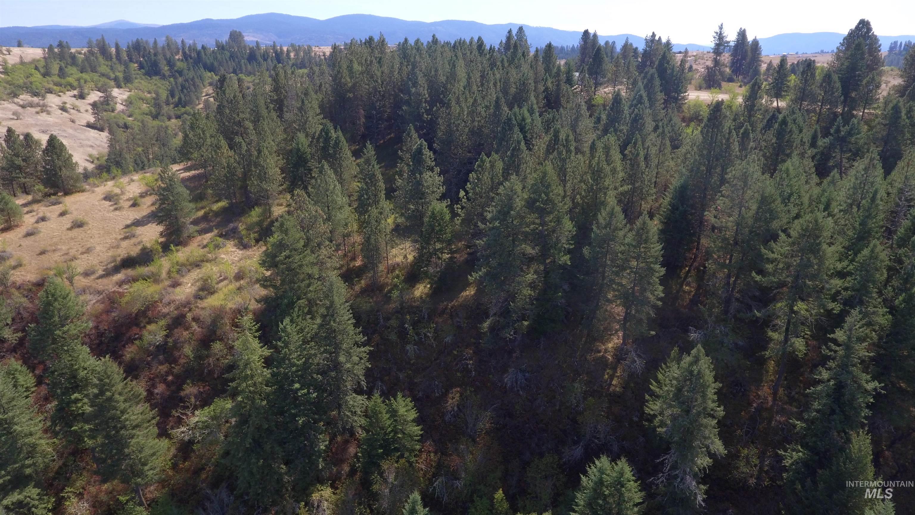Tbd Dalton Acres Rd Property Photo 45