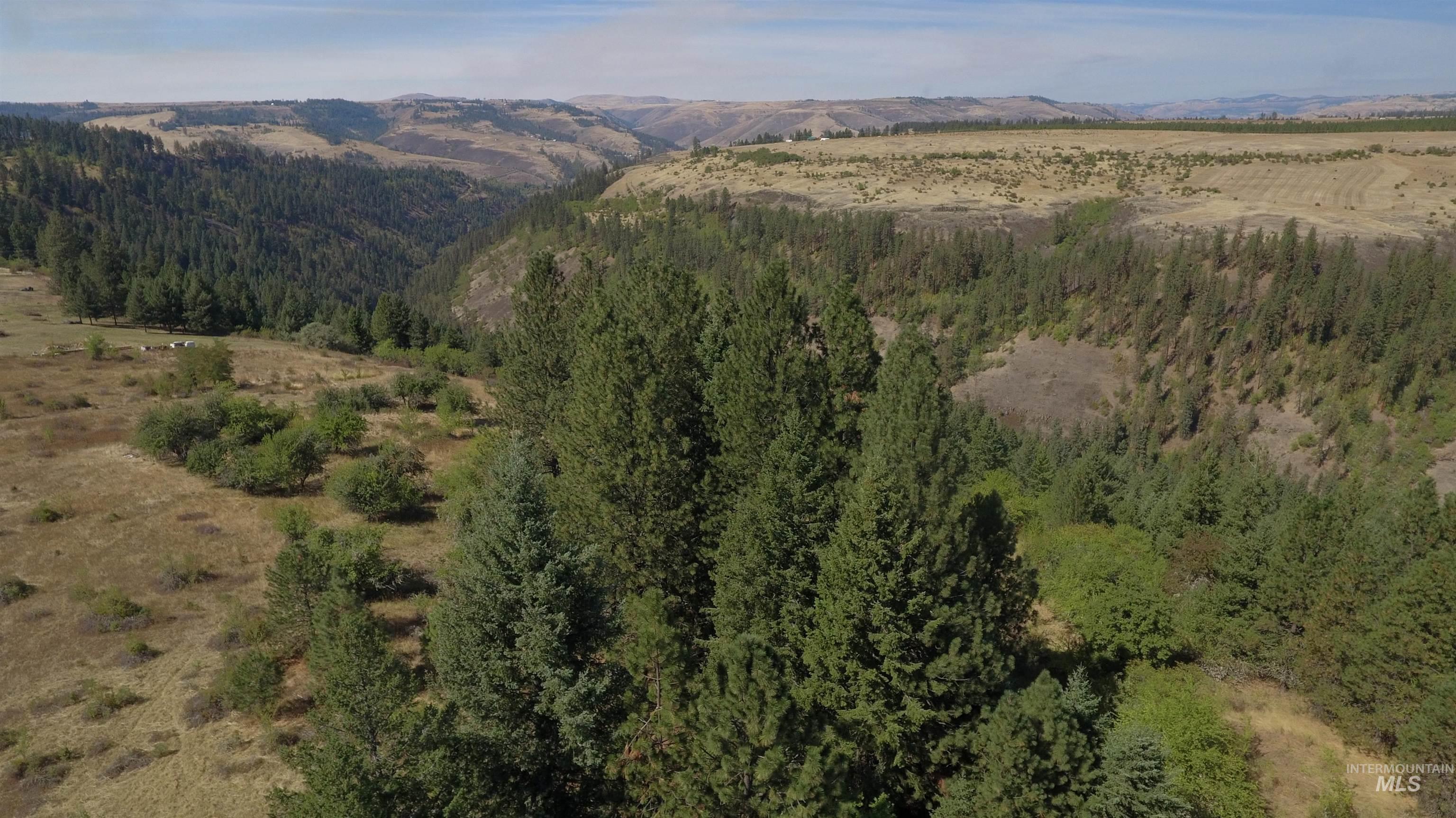 Tbd Dalton Acres Rd Property Photo 47