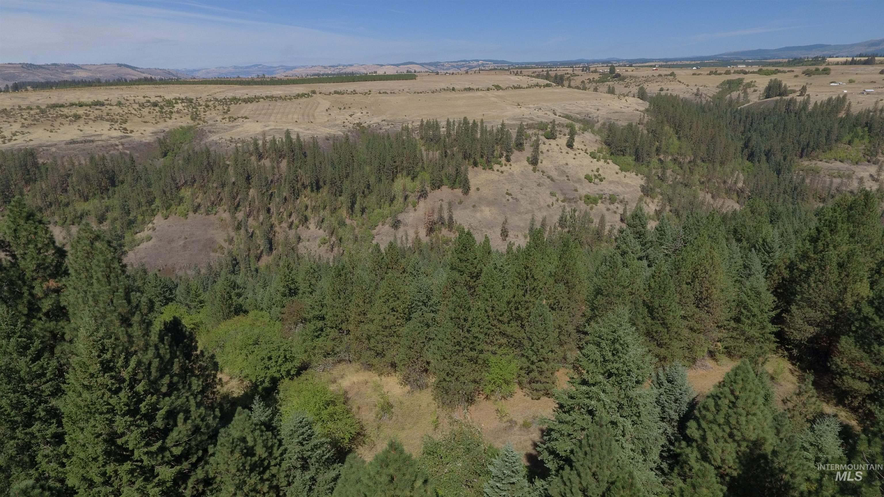 Tbd Dalton Acres Rd Property Photo 48