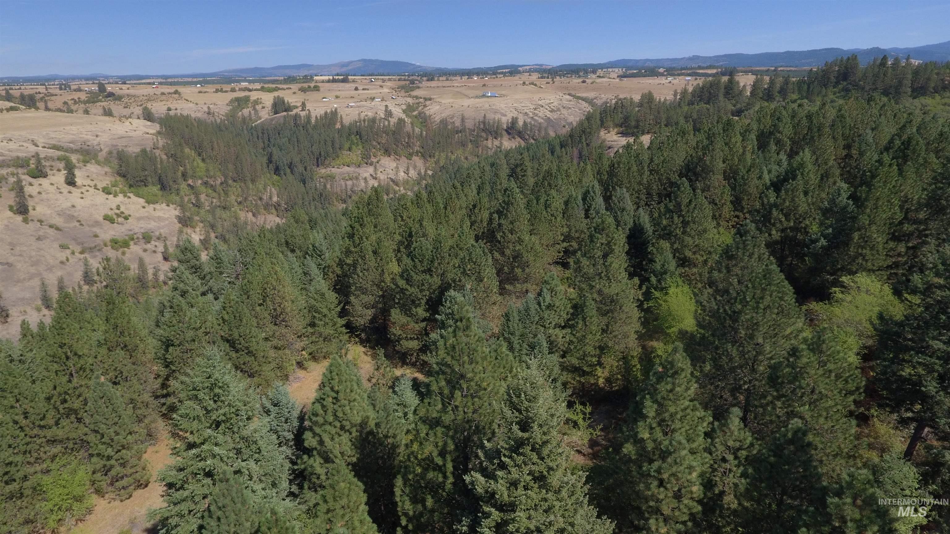 Tbd Dalton Acres Rd Property Photo 49