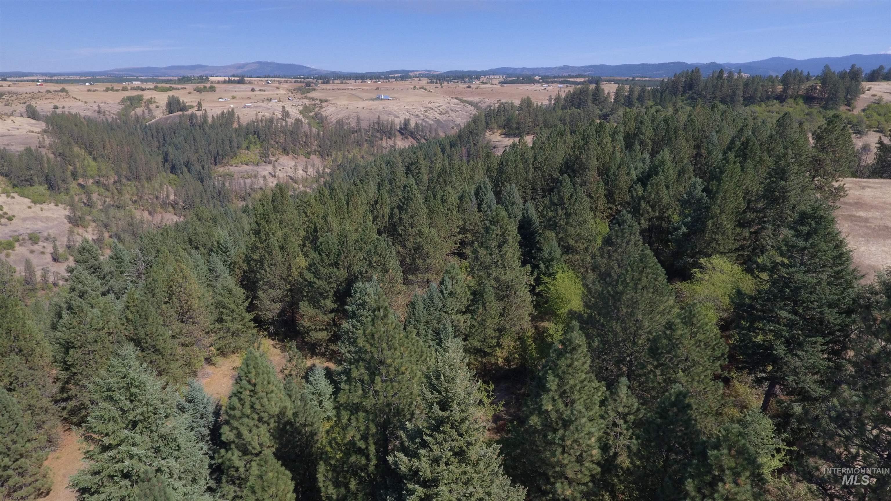 Tbd Dalton Acres Rd Property Photo 50