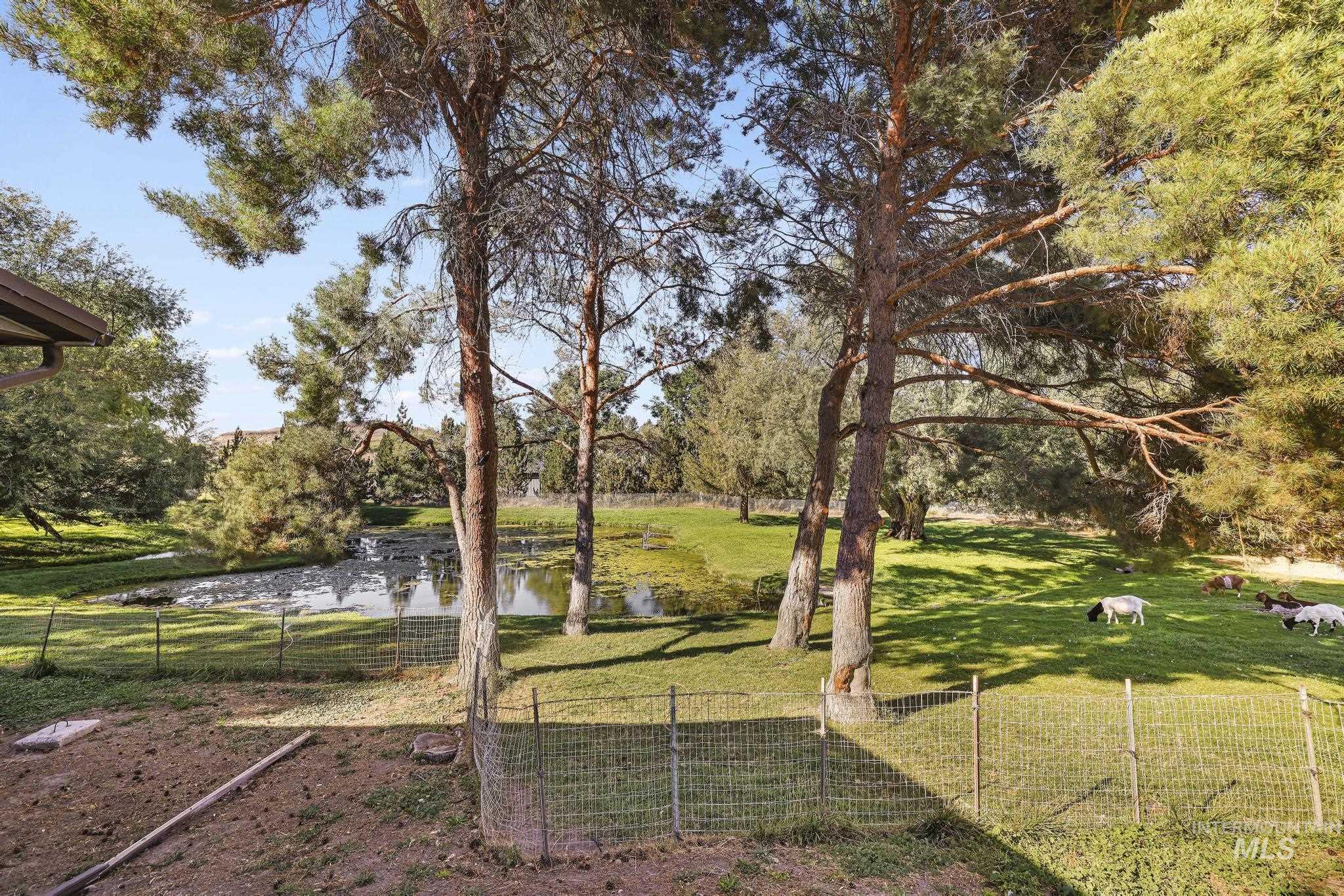 4796 River Rd Property Photo 33