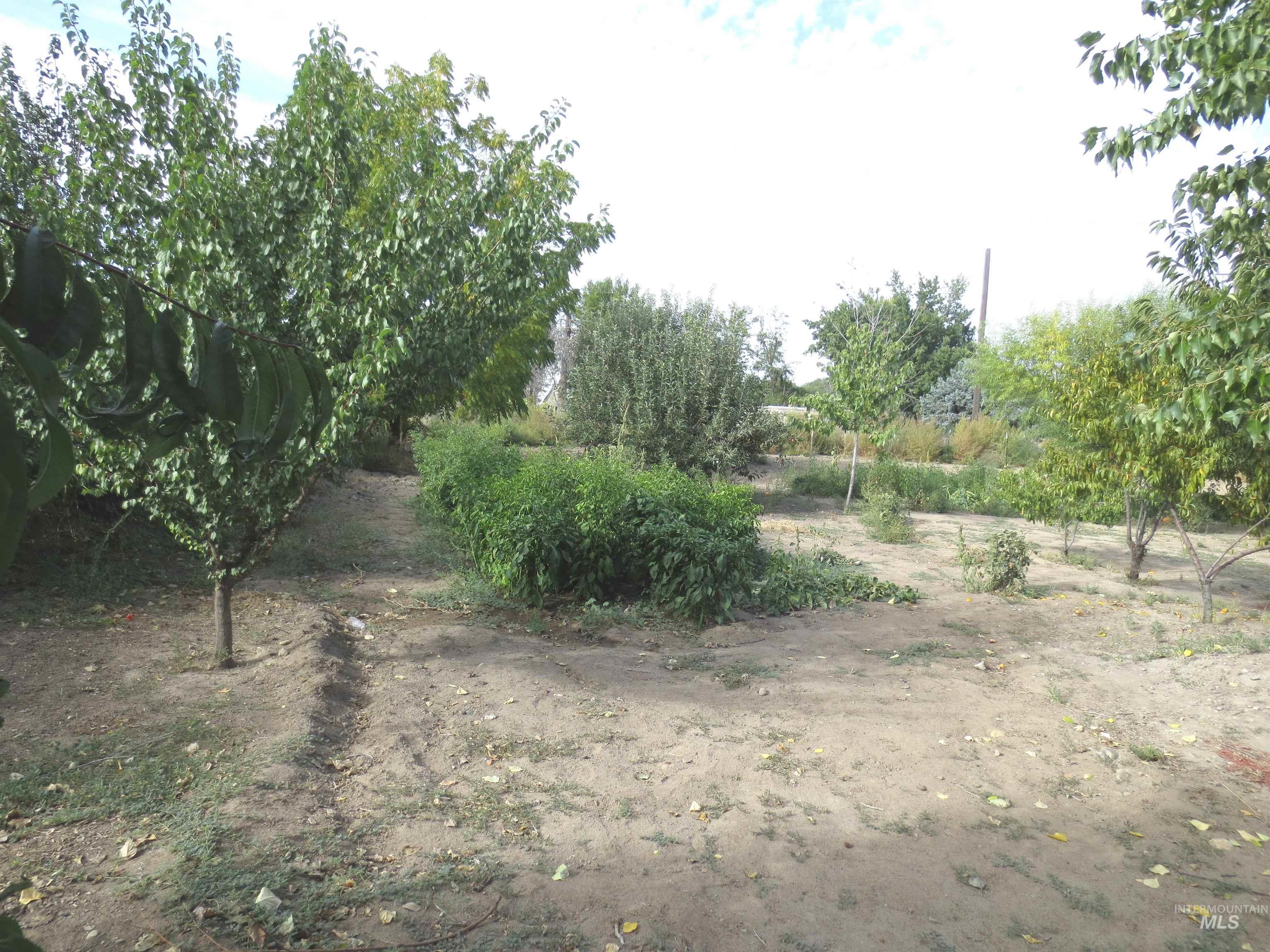 31977 Nob Lane Property Photo 14