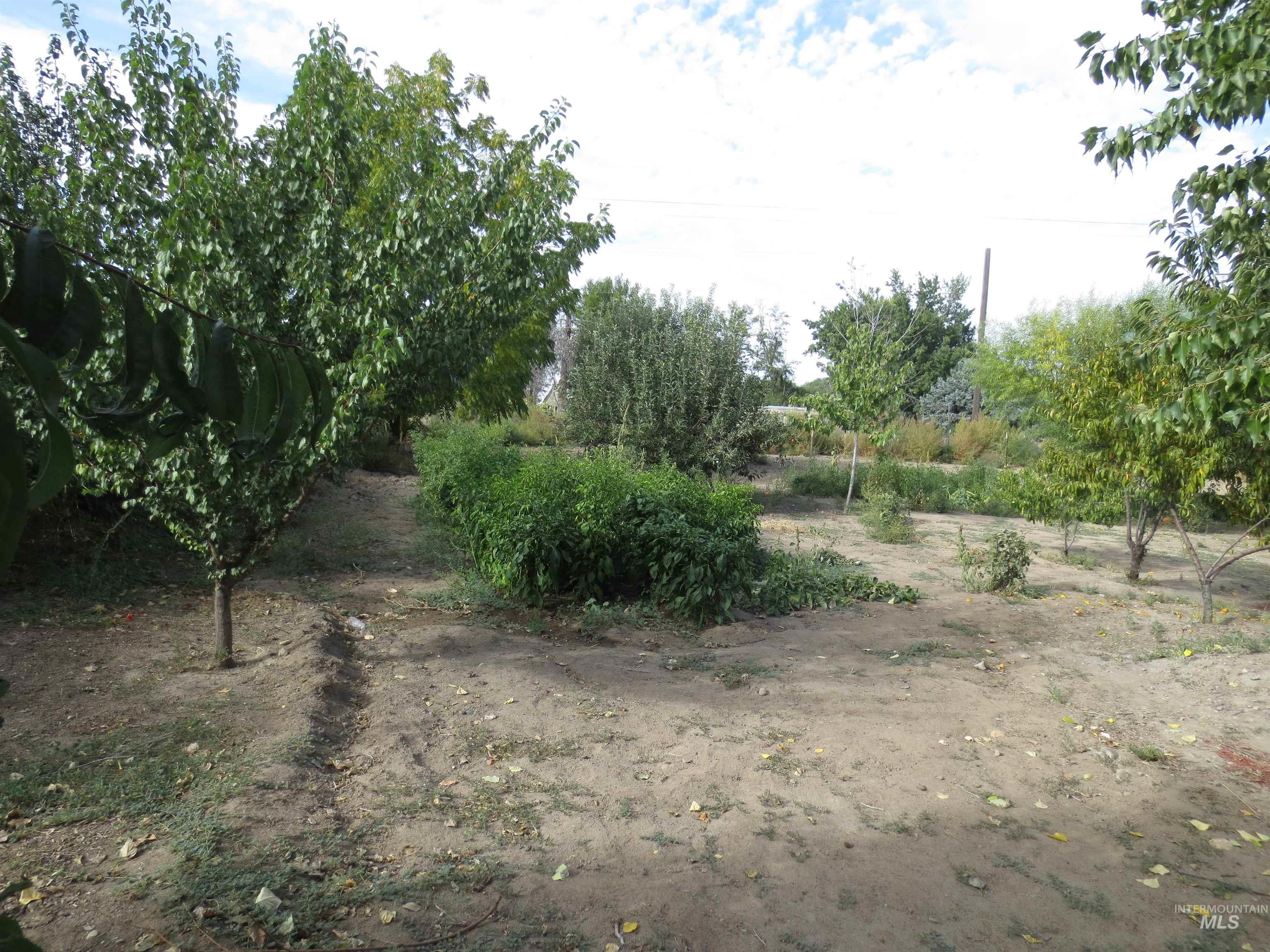31977 Nob Lane Property Photo 16