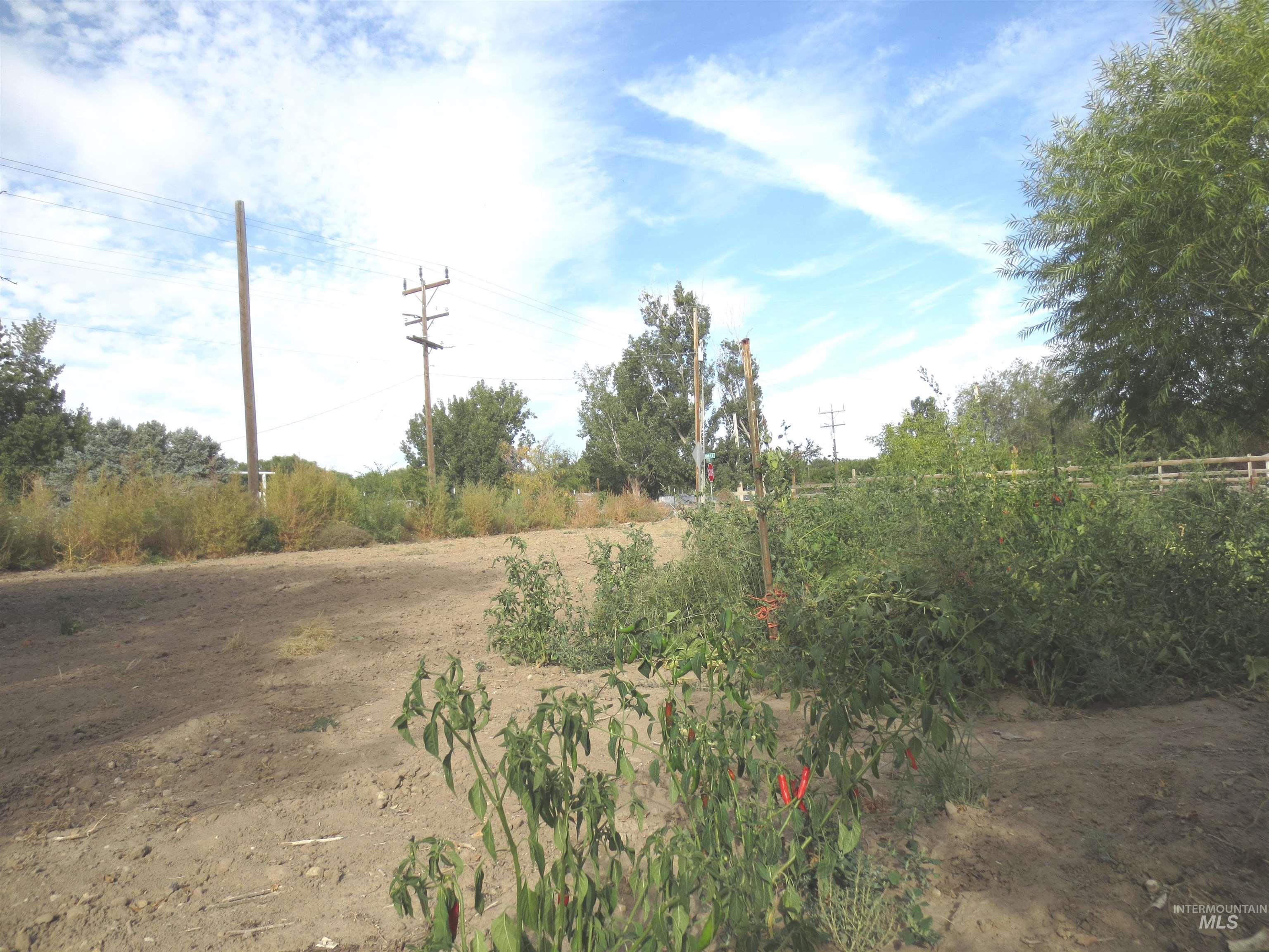 31977 Nob Lane Property Photo 16