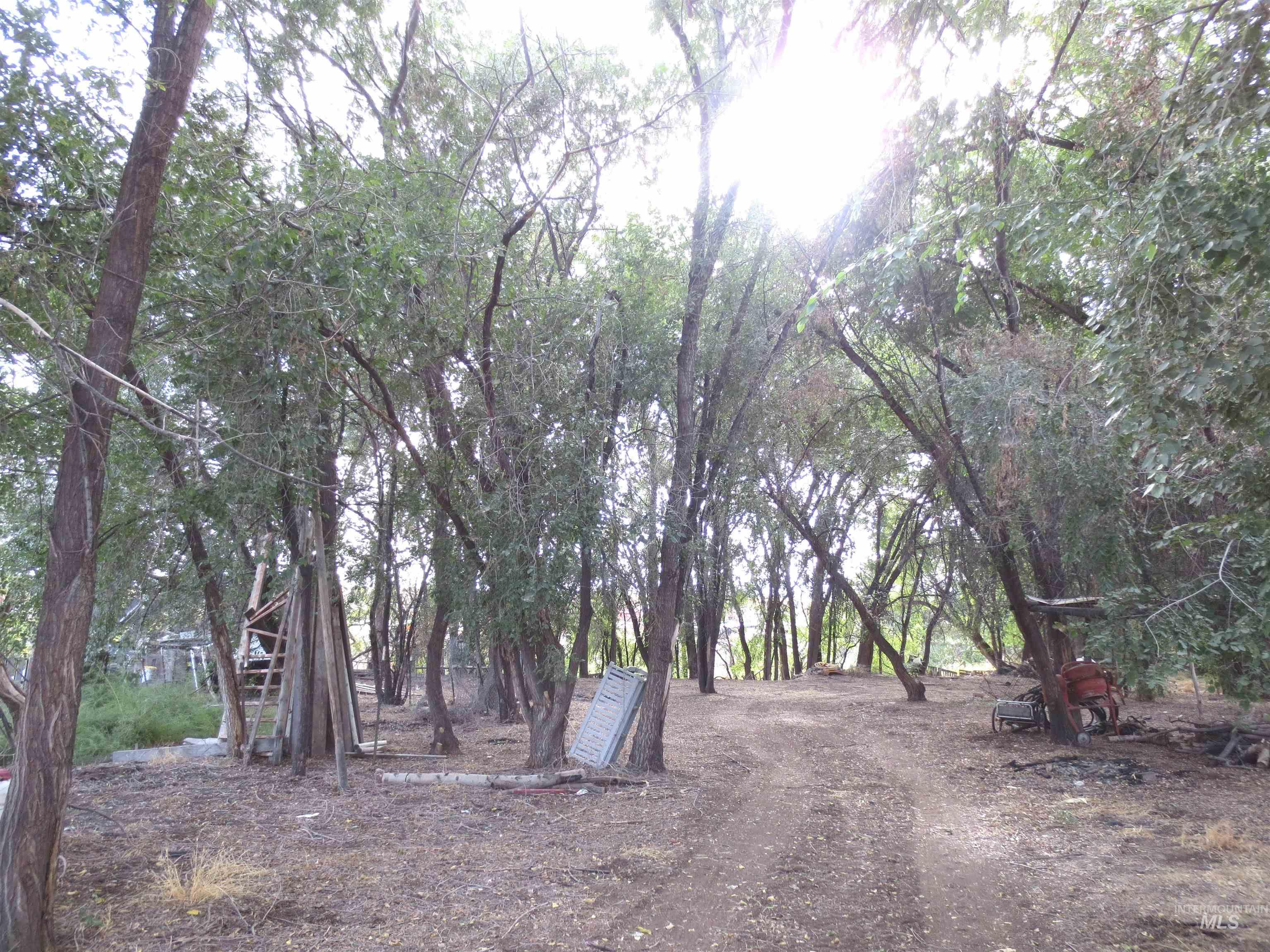 31977 Nob Lane Property Photo 25