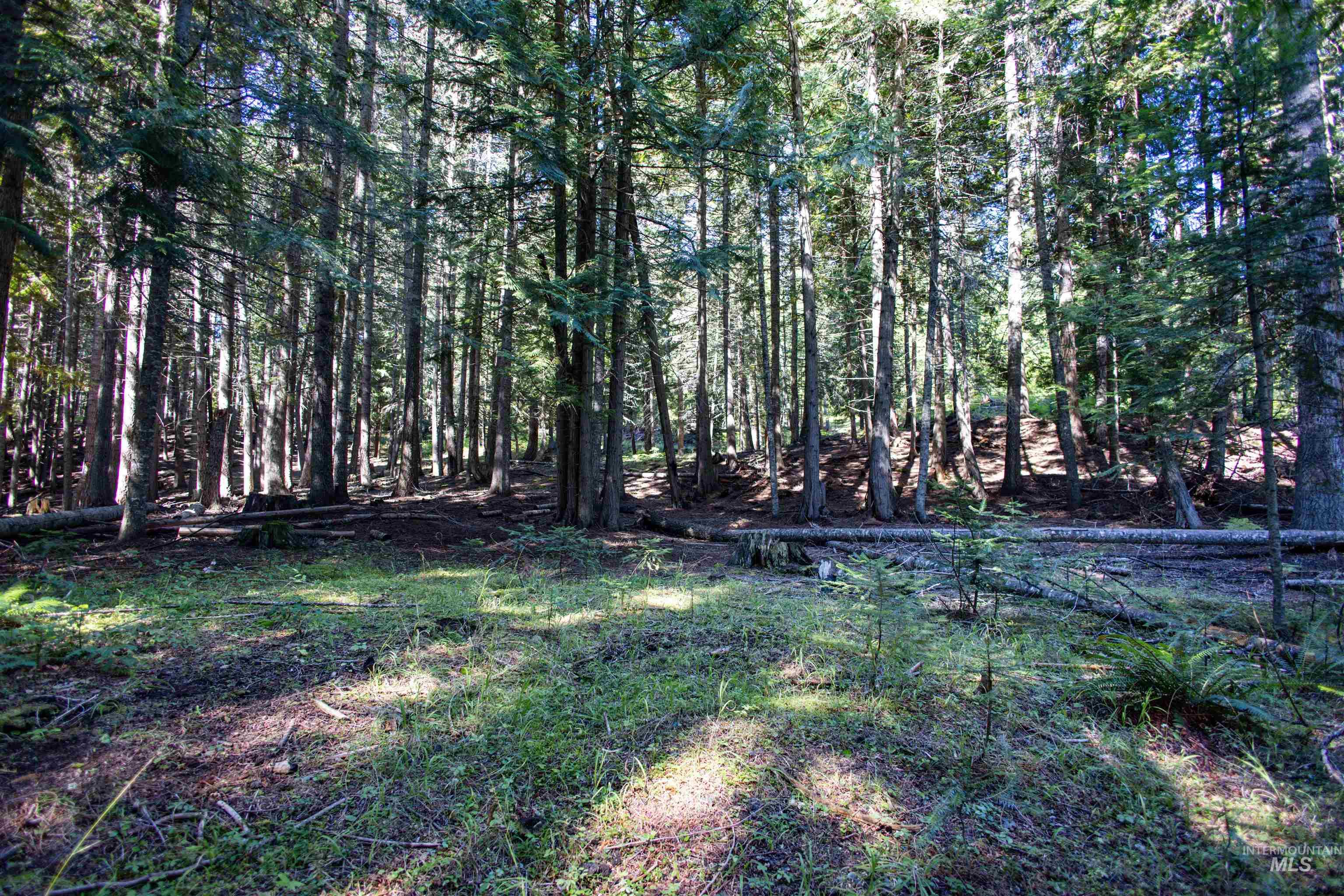 2391 Glenwood Rd Property Photo 36