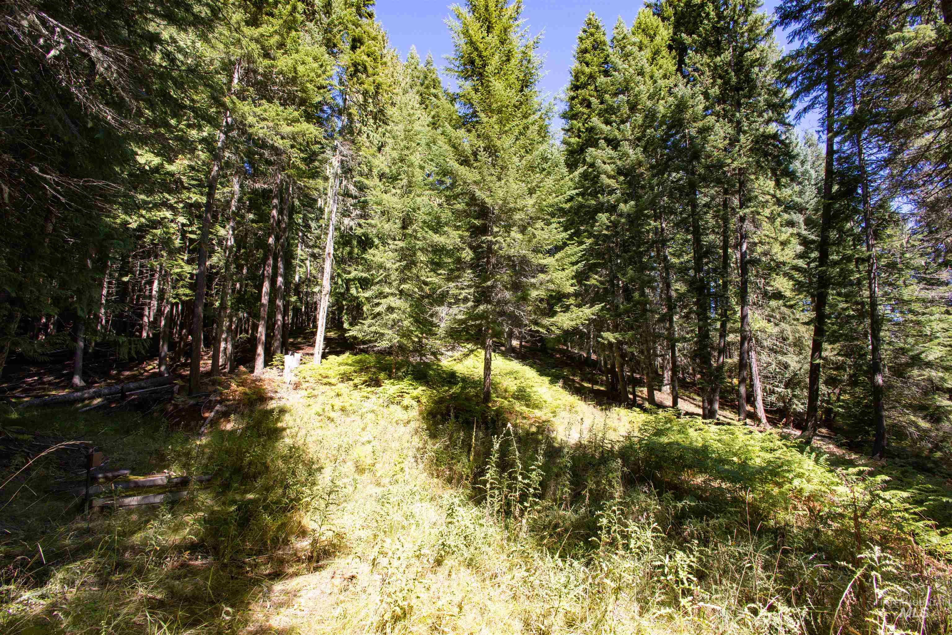 2391 Glenwood Rd Property Photo 43