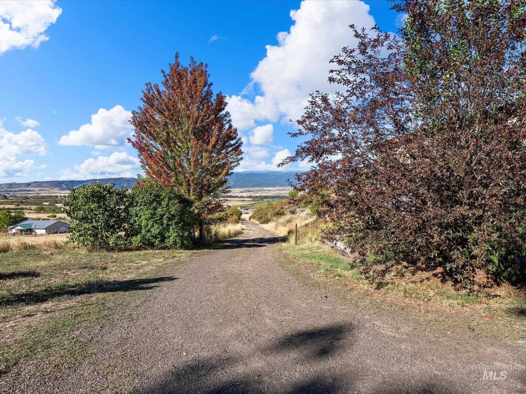 2466 Hwy 95 Property Photo 36