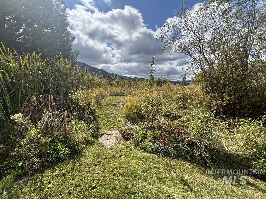 10092 Timberrim Drive Property Photo 41