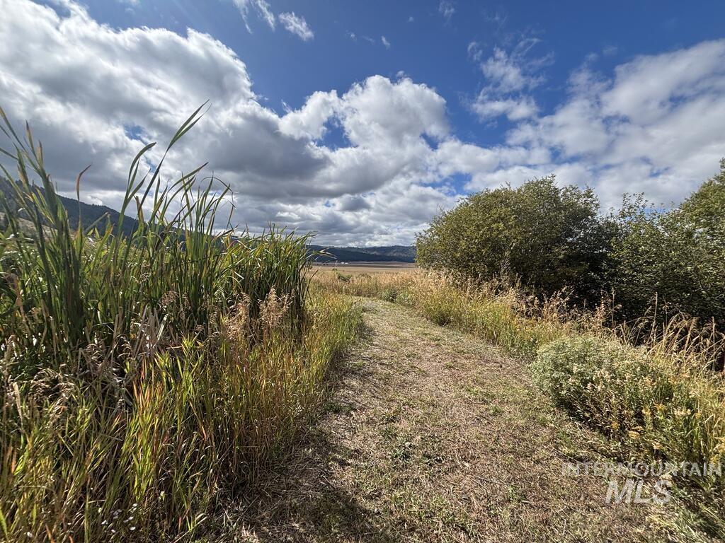 10092 Timberrim Drive Property Photo 42