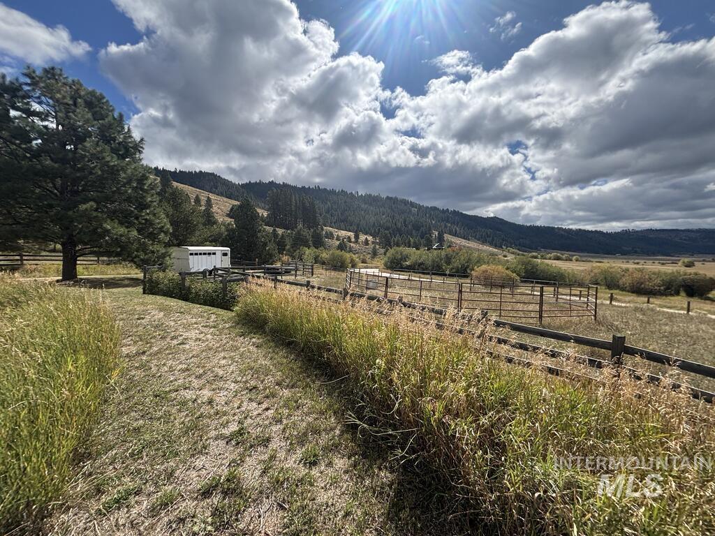 10092 Timberrim Drive Property Photo 43
