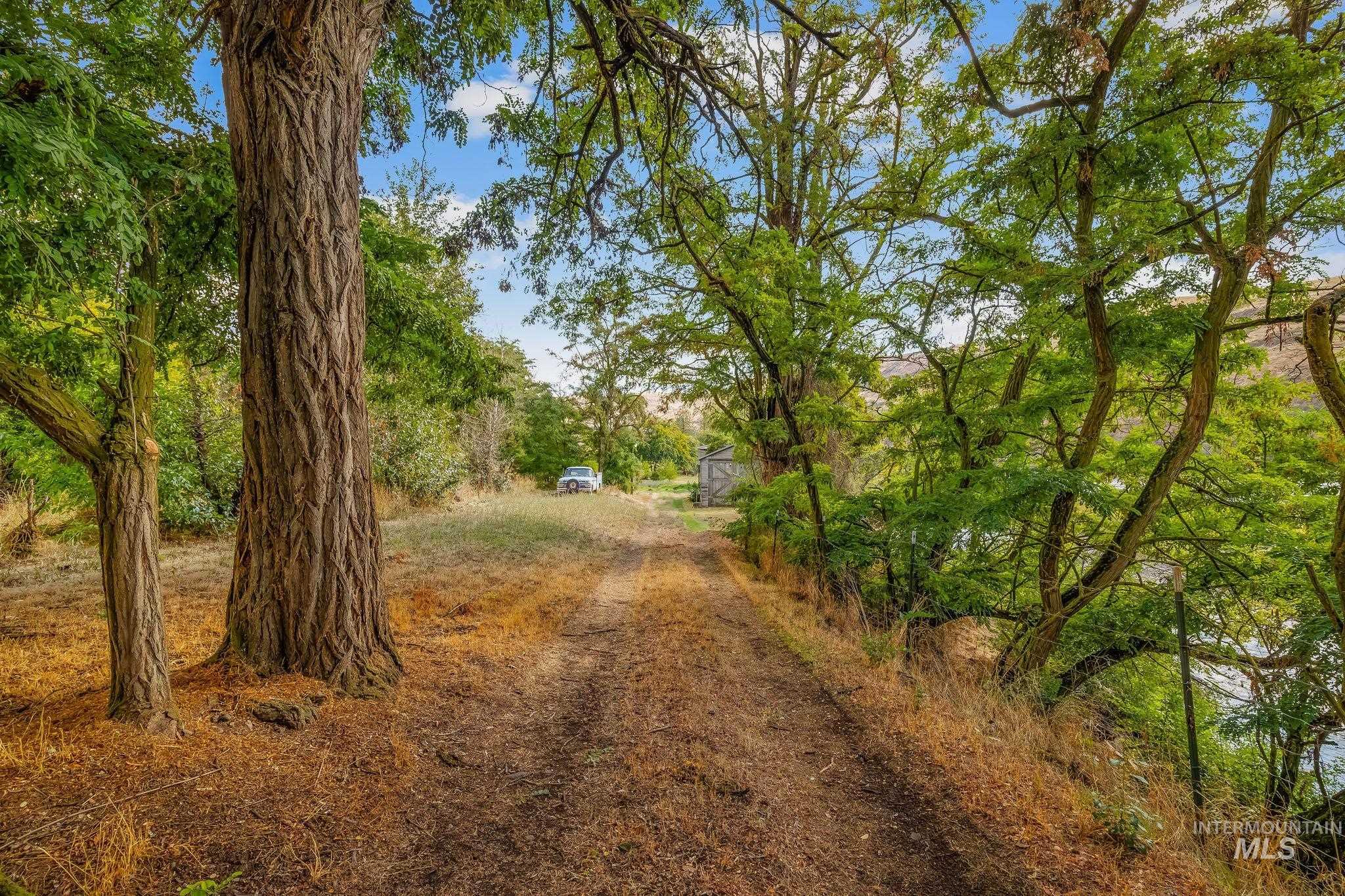 22116 Highway 12 Property Photo 12