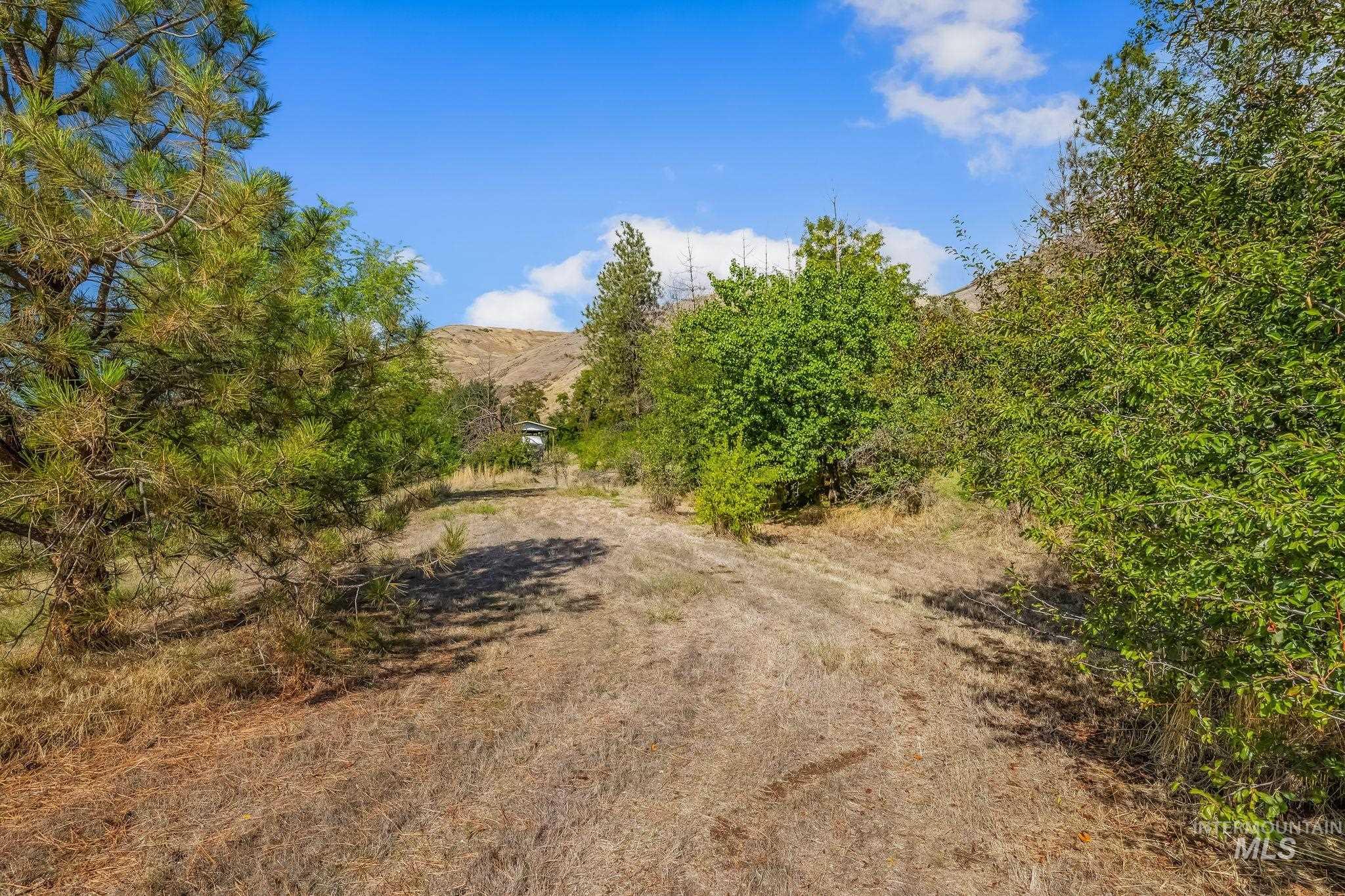 22116 Highway 12 Property Photo 18
