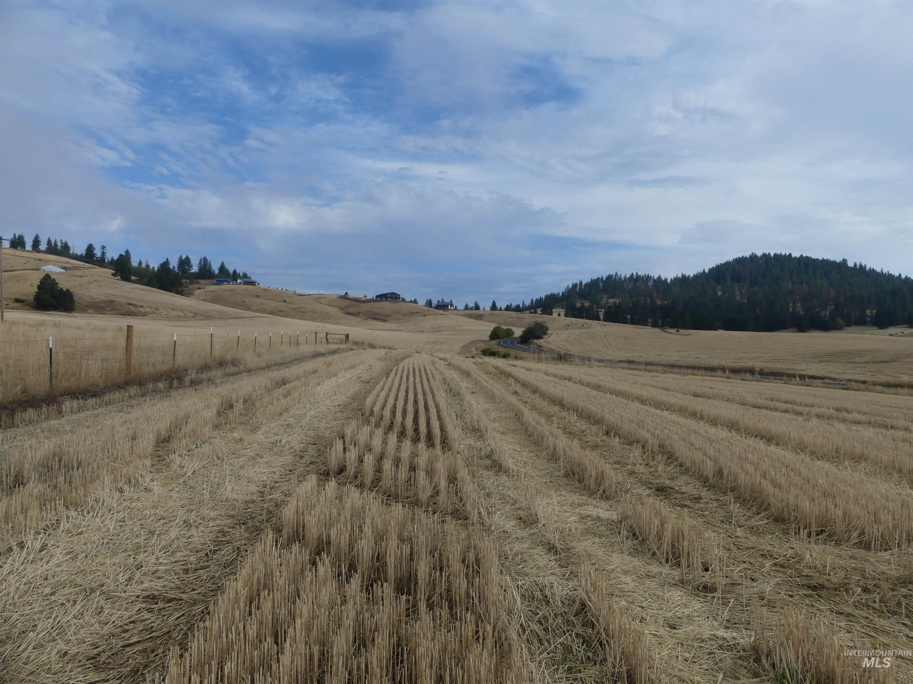 13250 Cavendish Hwy Property Photo 7