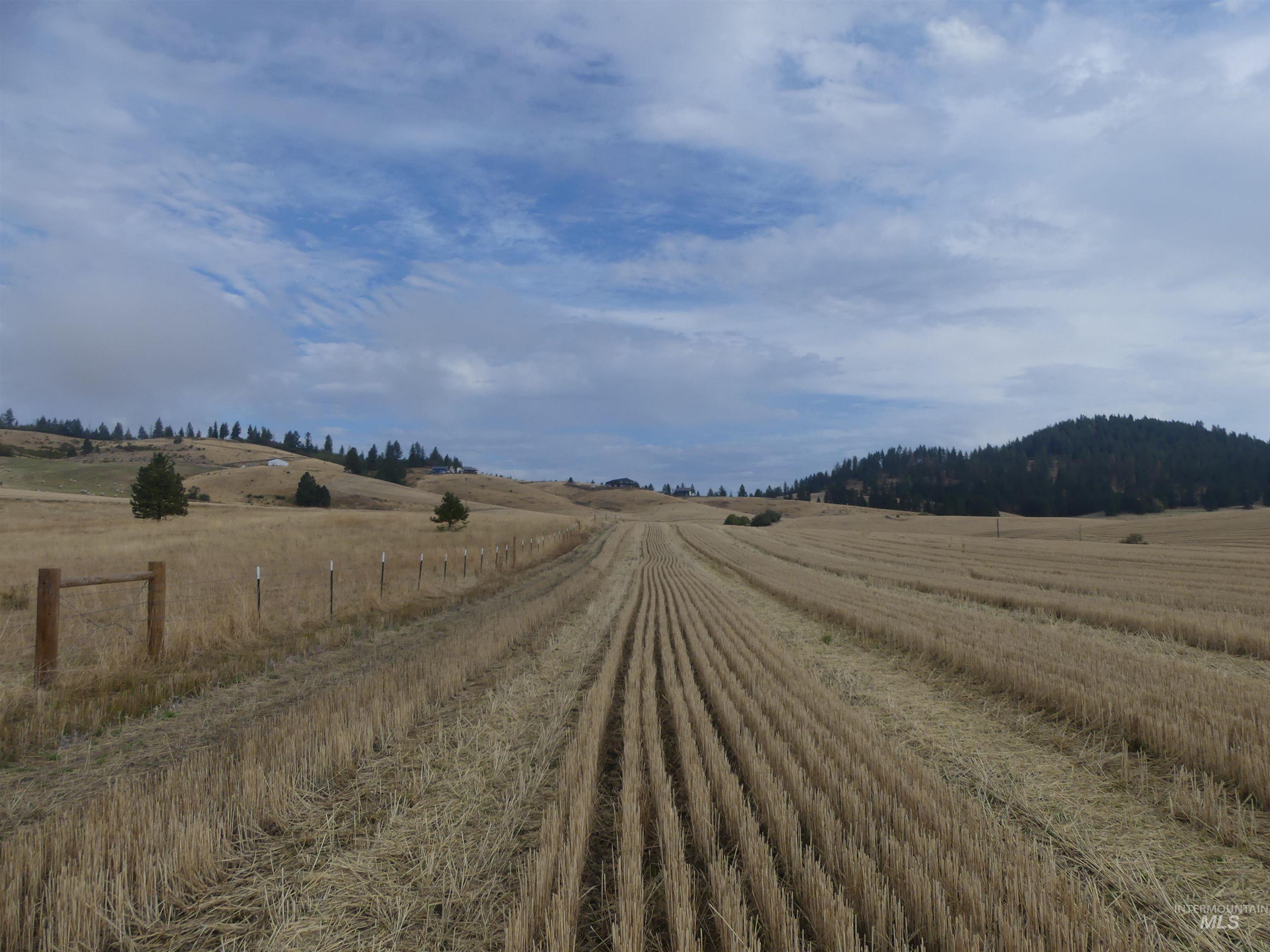 13250 Cavendish Hwy Property Photo 11