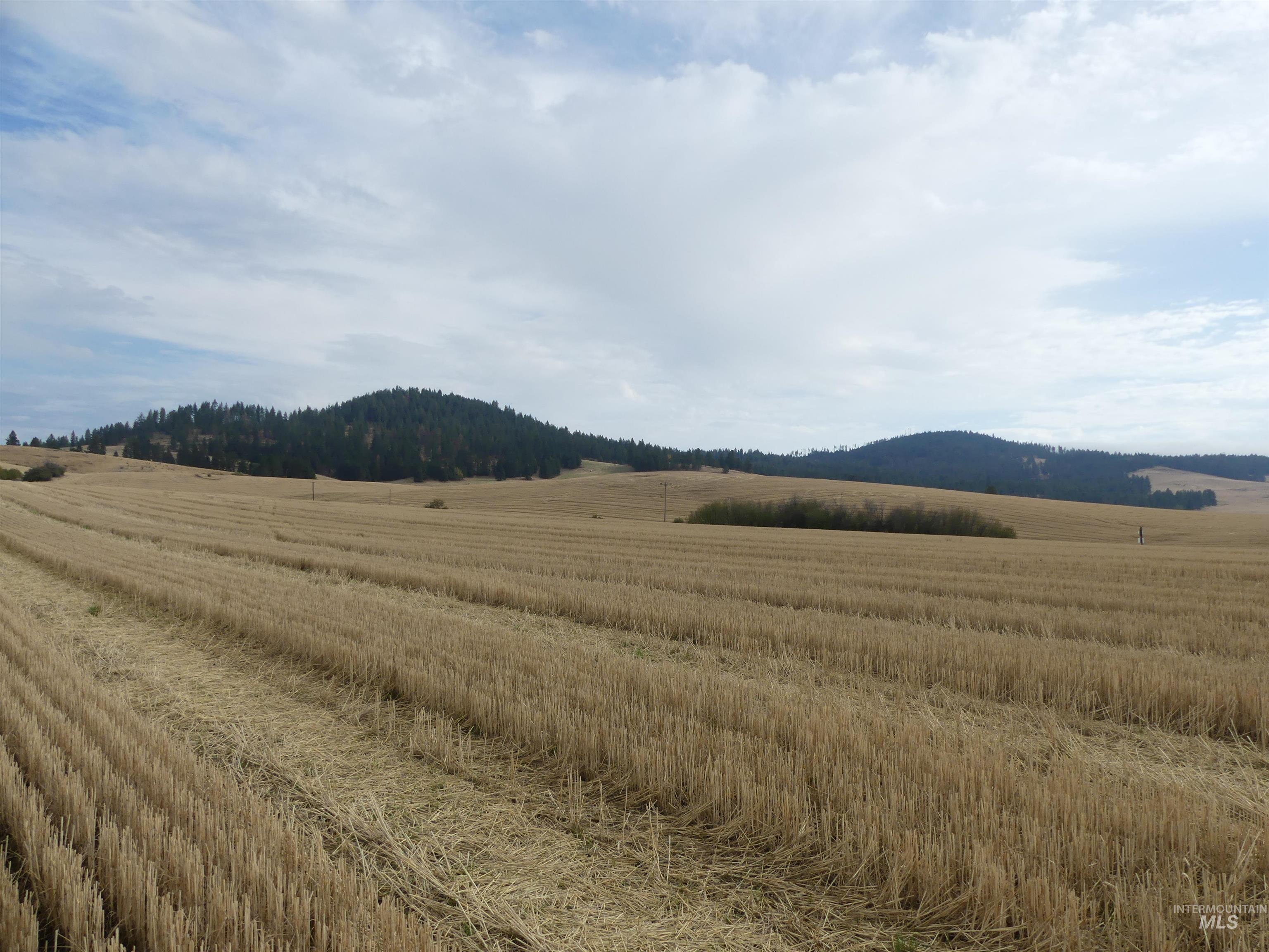 13250 Cavendish Hwy Property Photo 12