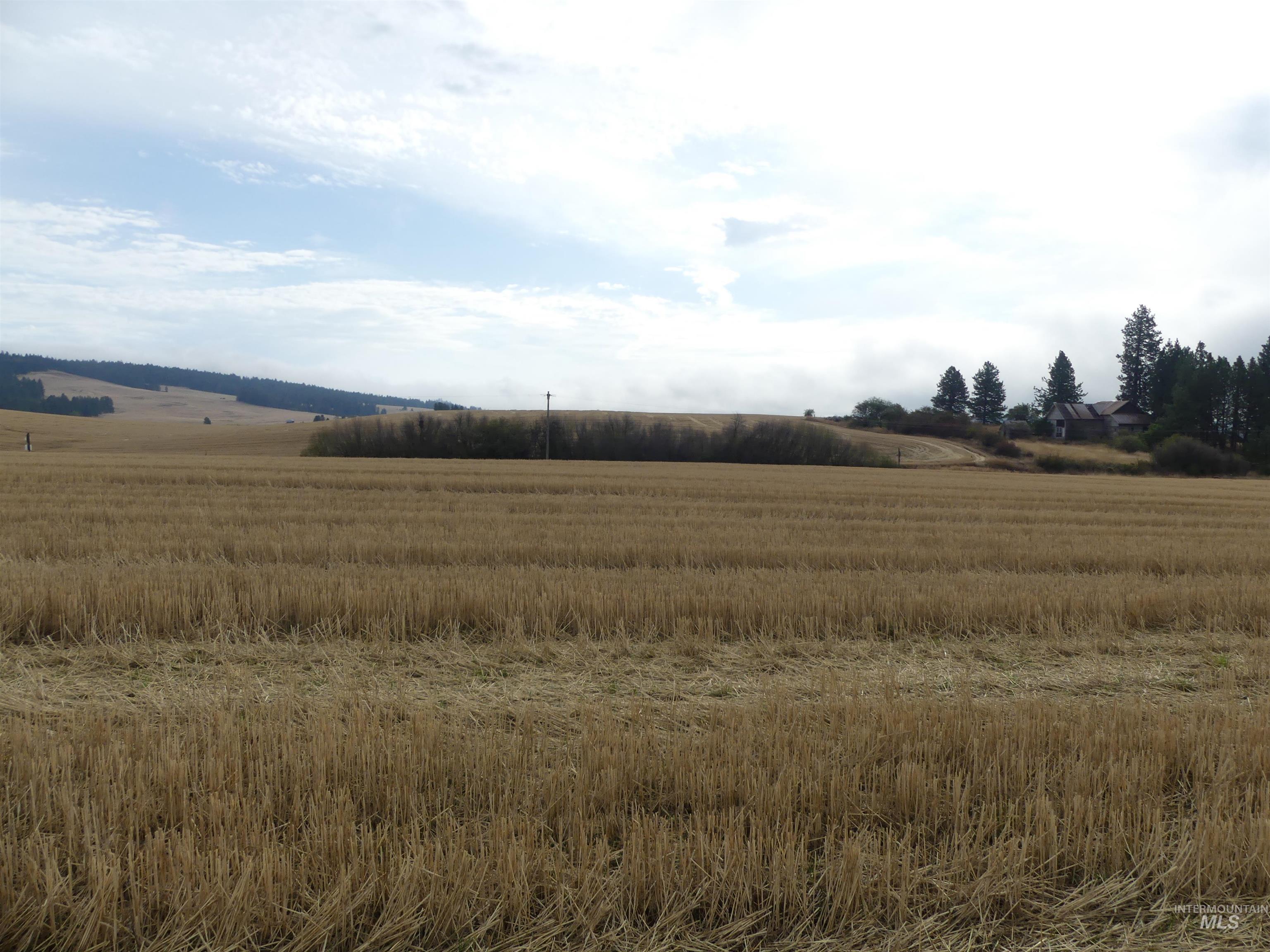 13250 Cavendish Hwy Property Photo 13