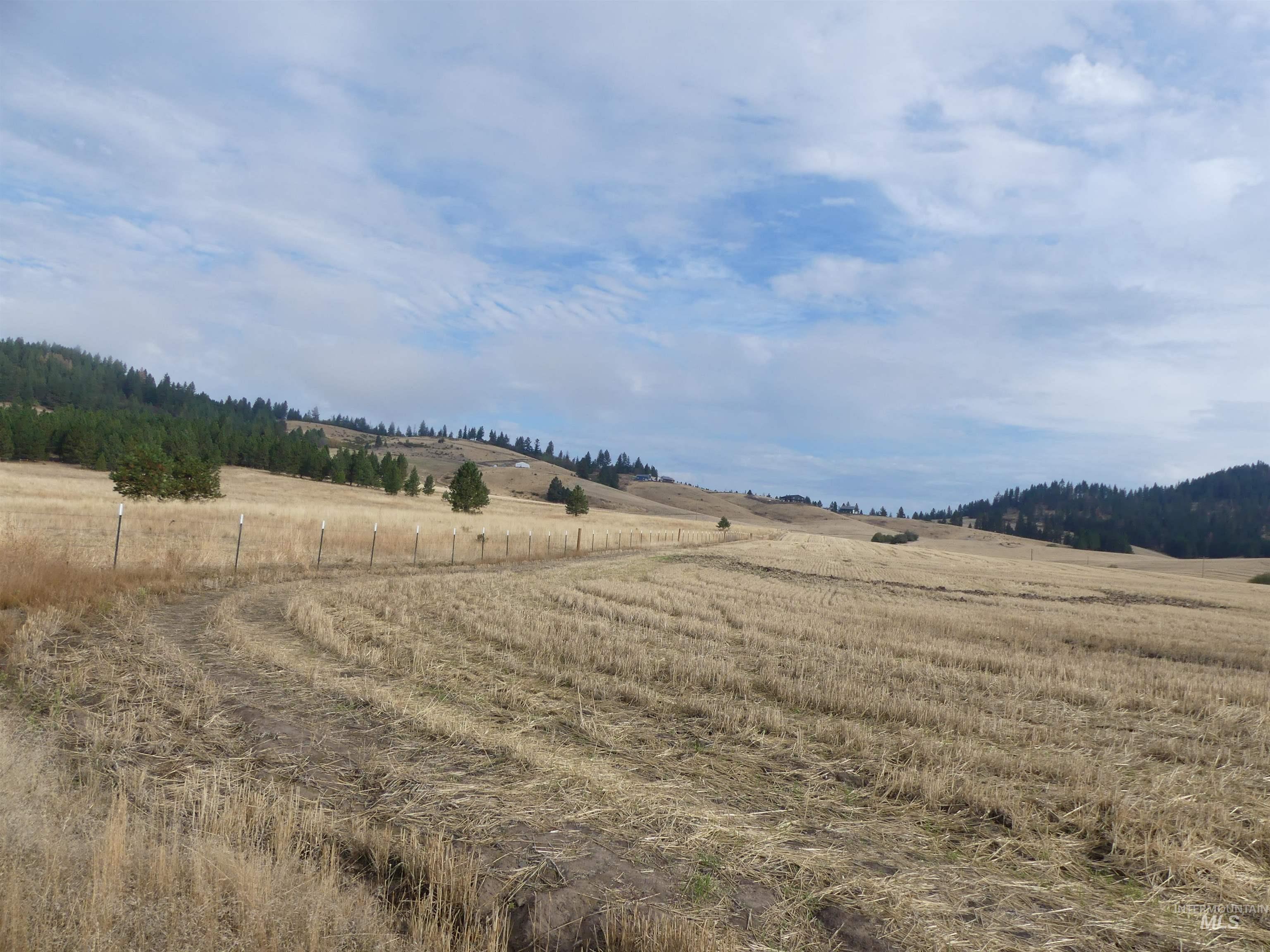 13250 Cavendish Hwy Property Photo 17
