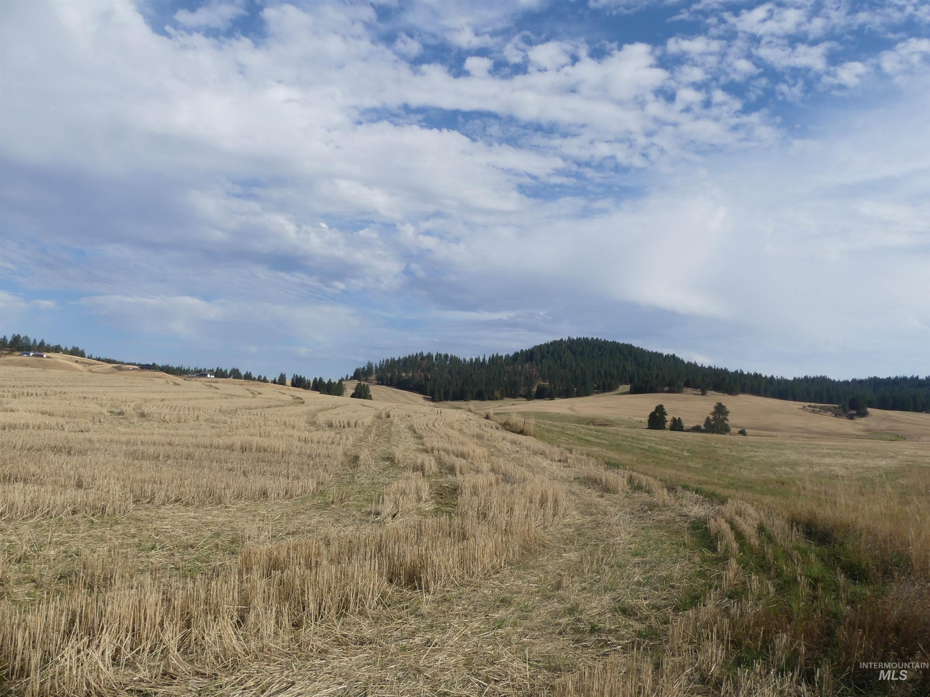 13250 Cavendish Hwy Property Photo 41