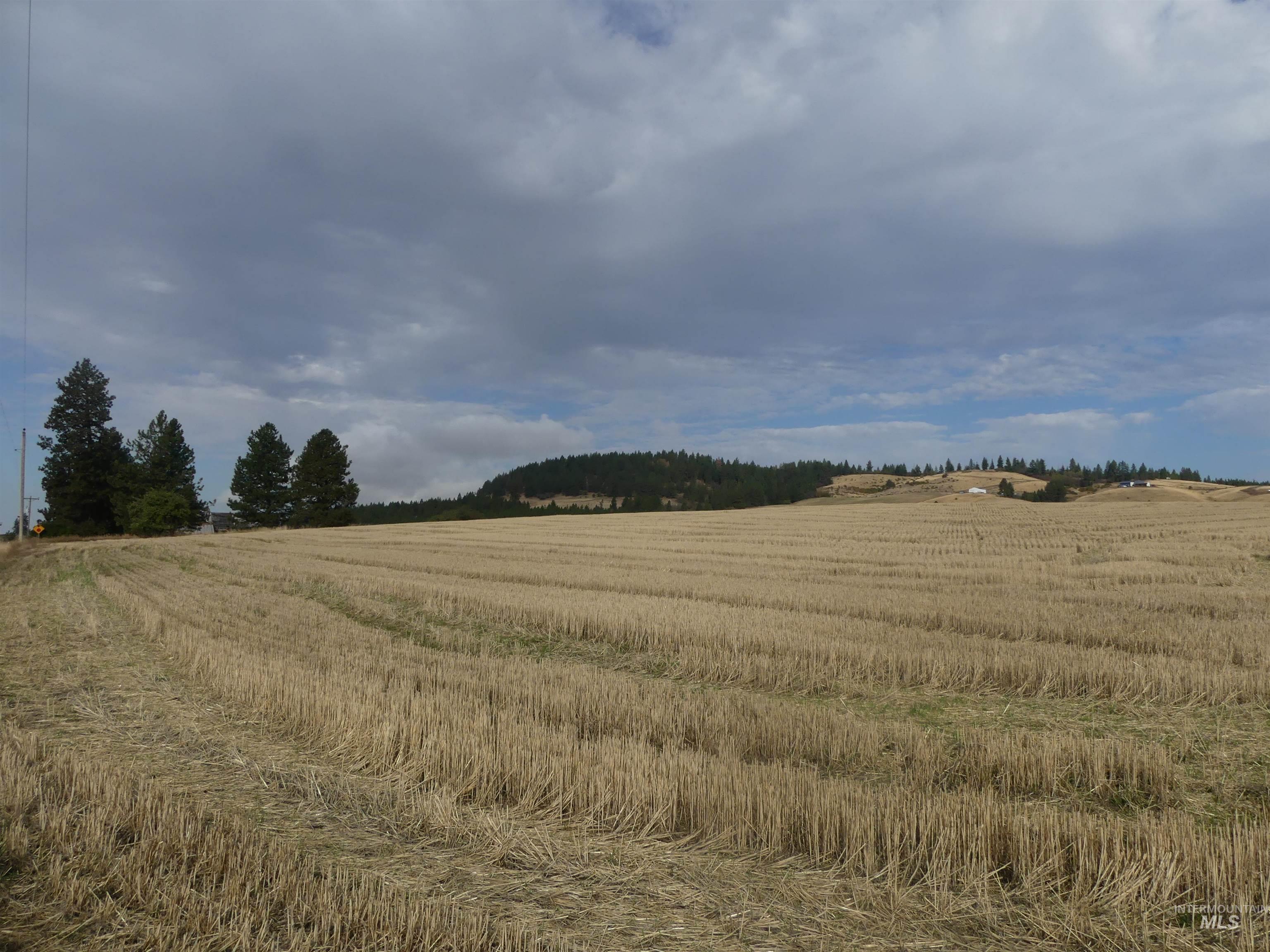 13250 Cavendish Hwy Property Photo 42
