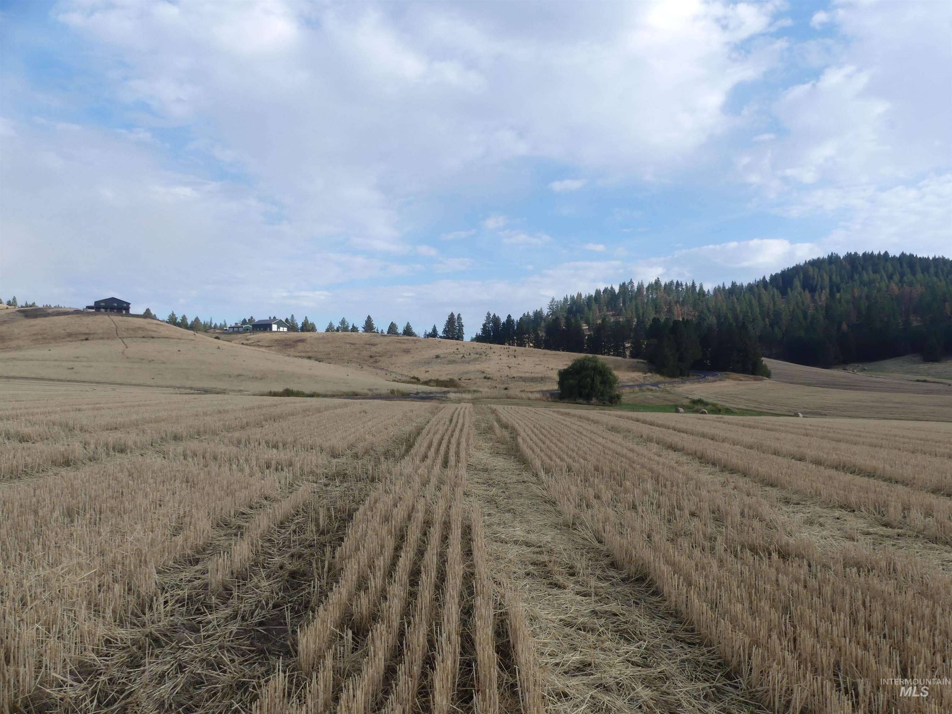 13525 Cavendish Hwy Property Photo 2