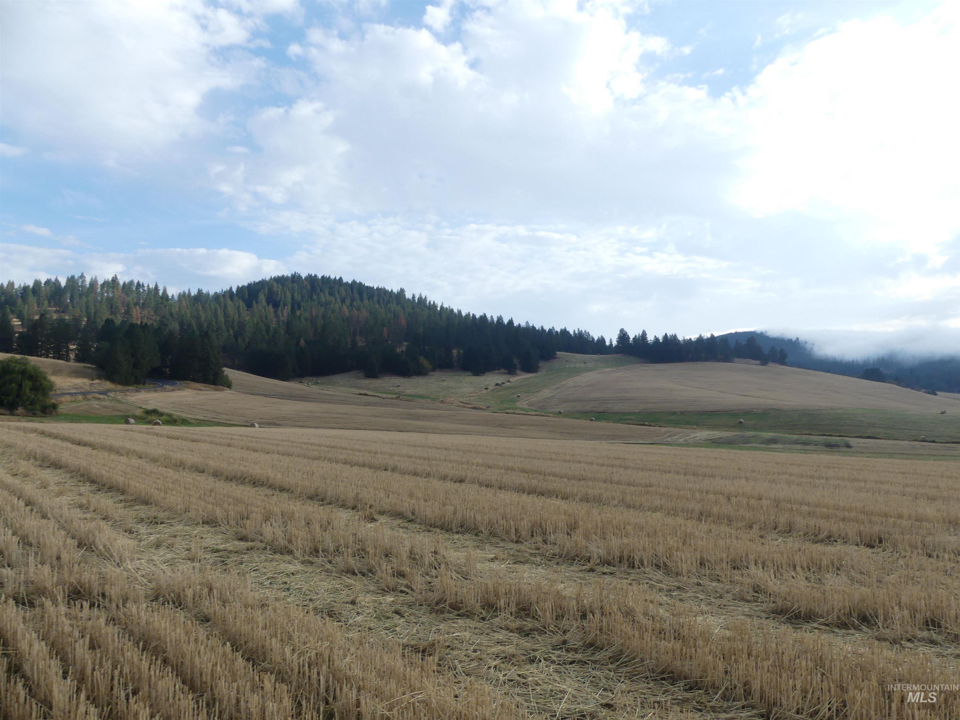 13525 Cavendish Hwy Property Photo 4