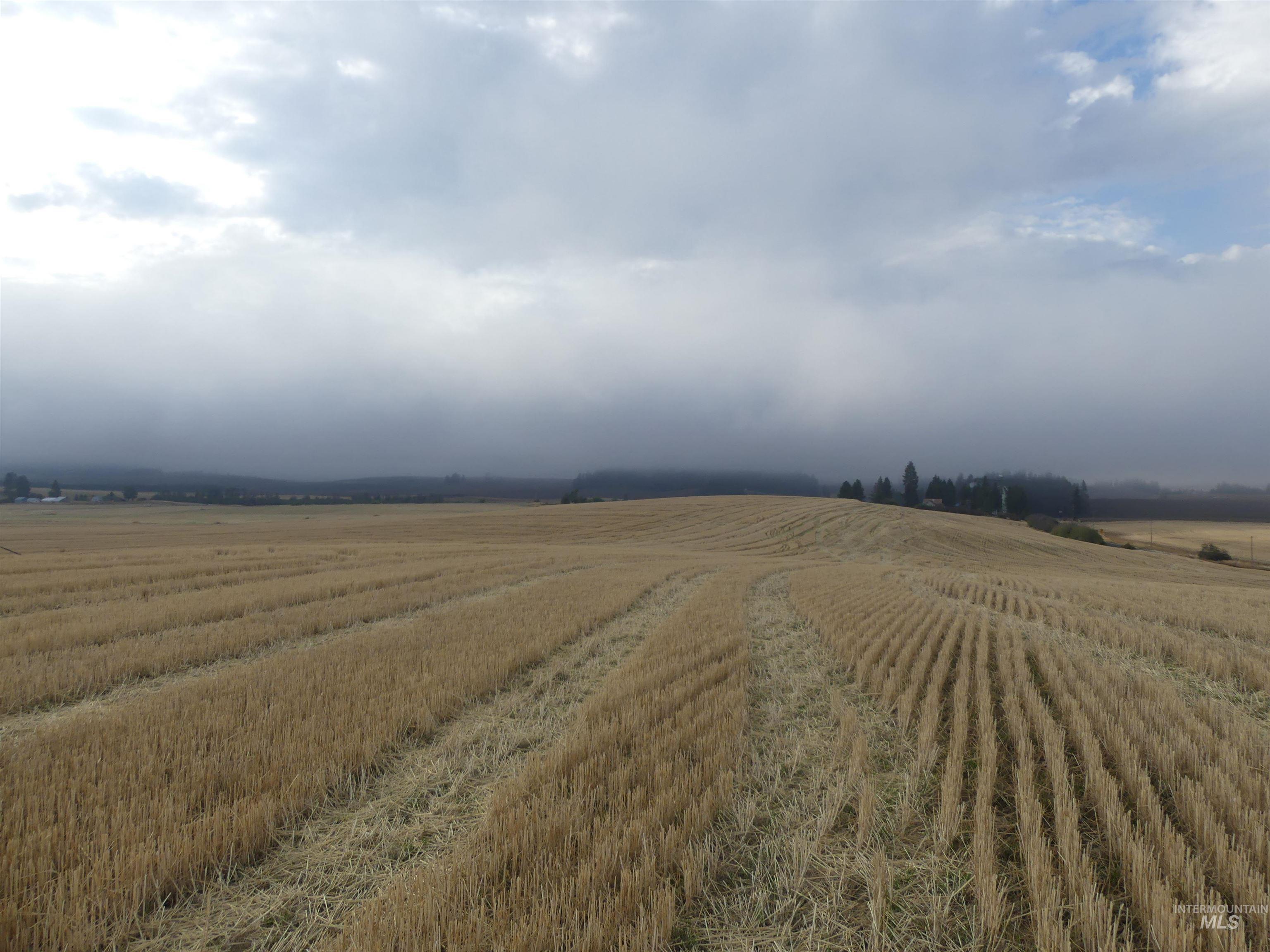 13525 Cavendish Hwy Property Photo 6