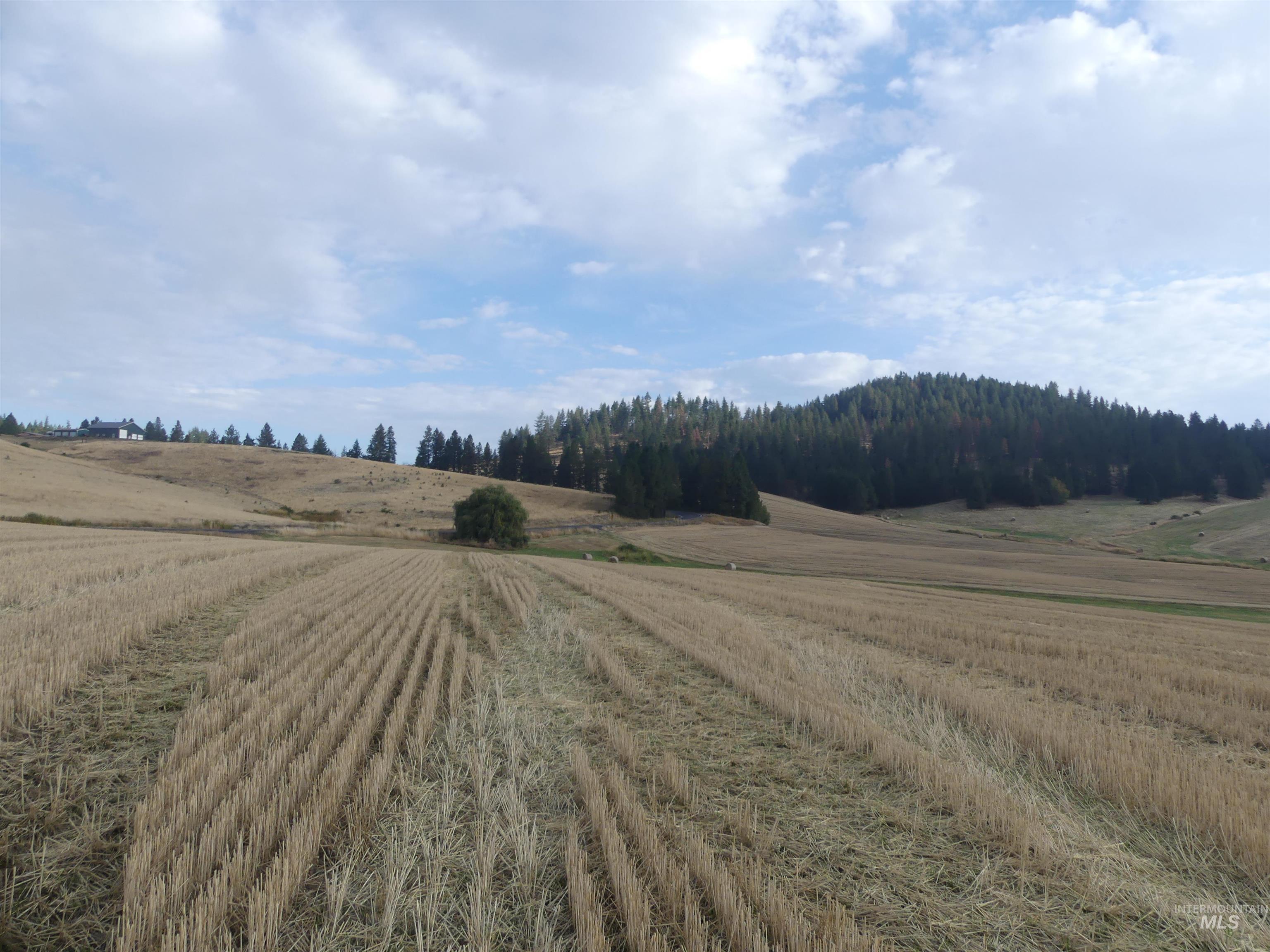 13525 Cavendish Hwy Property Photo 9