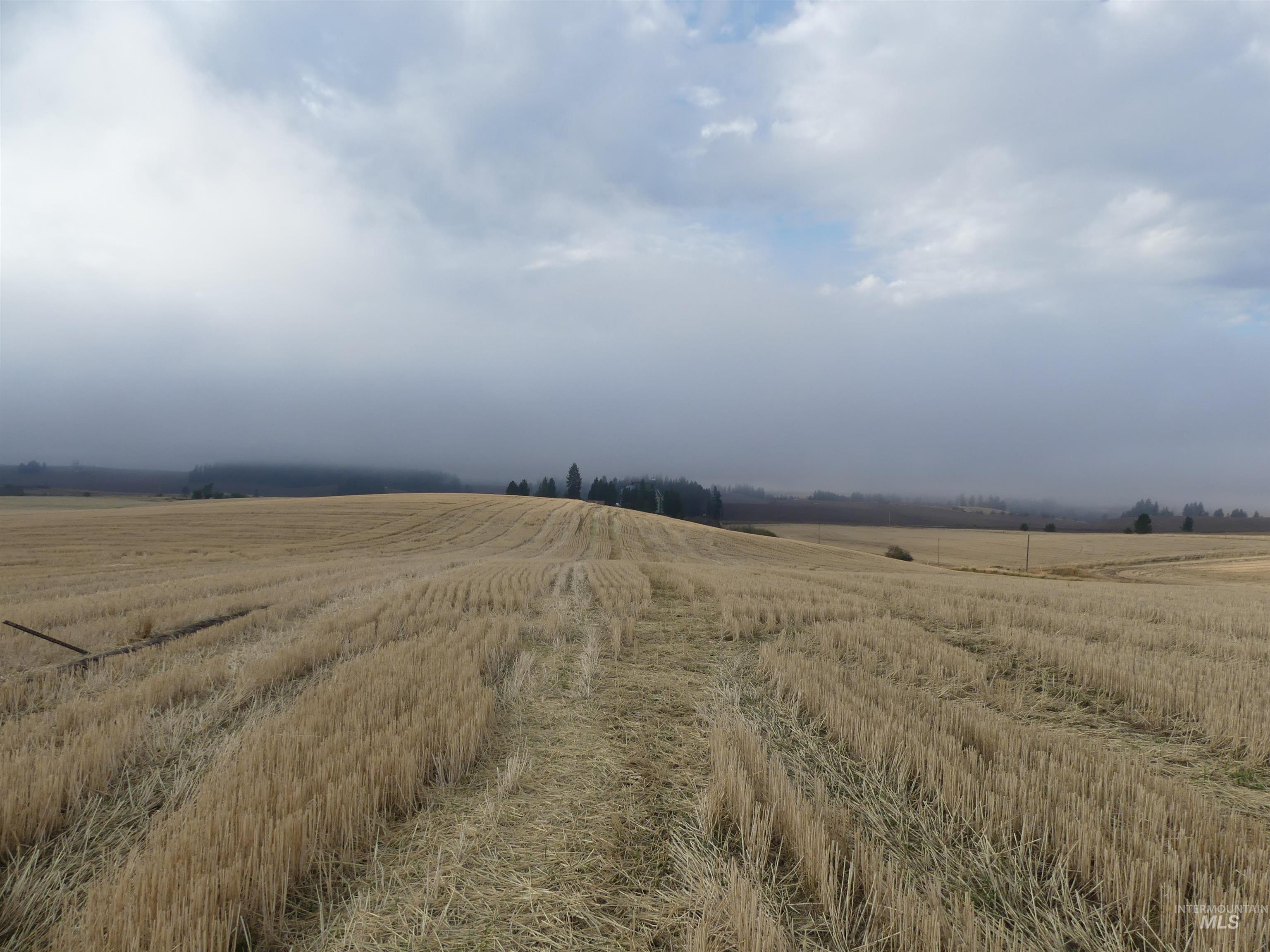 13525 Cavendish Hwy Property Photo 10