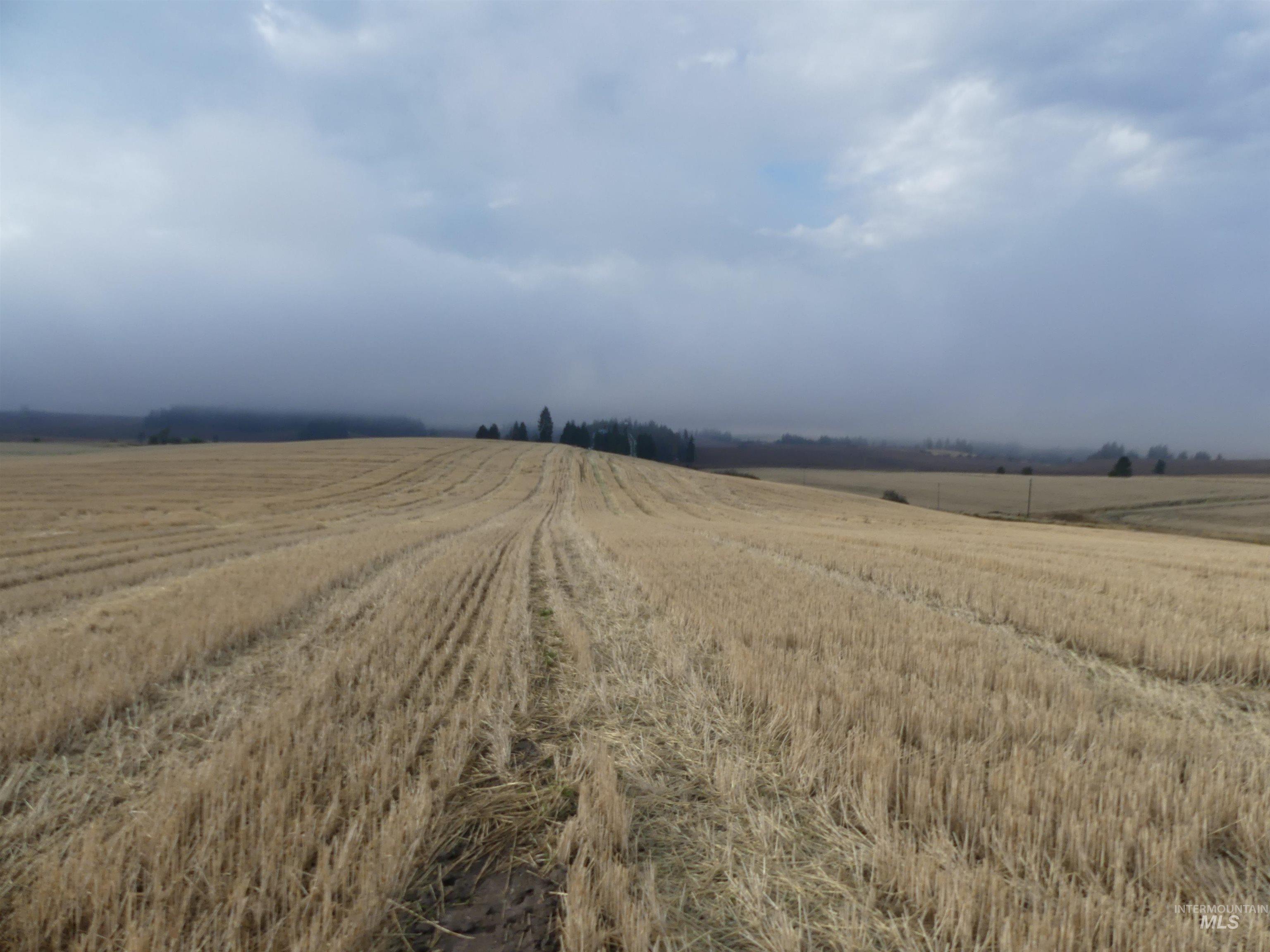 13525 Cavendish Hwy Property Photo 11
