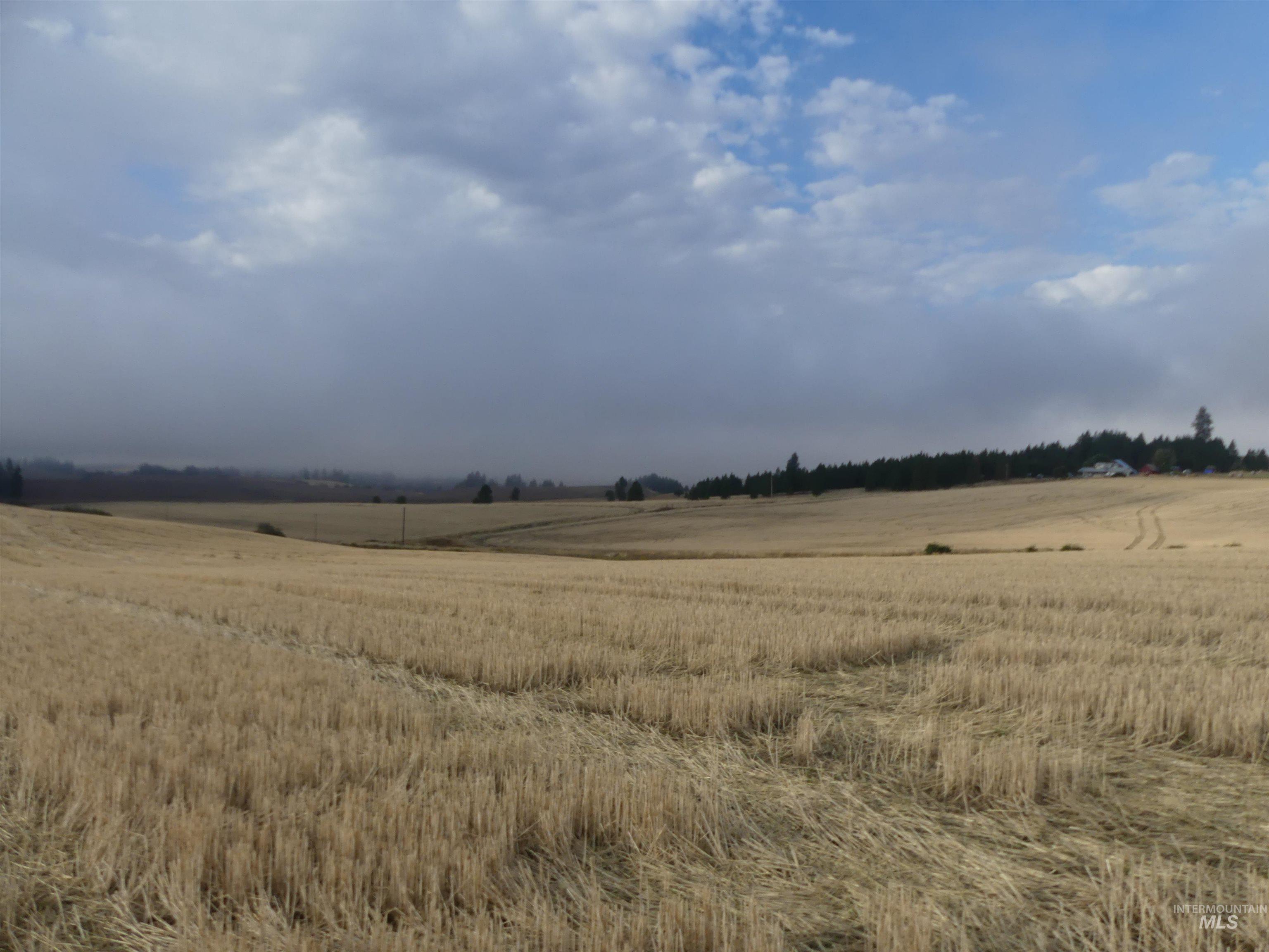 13525 Cavendish Hwy Property Photo 12