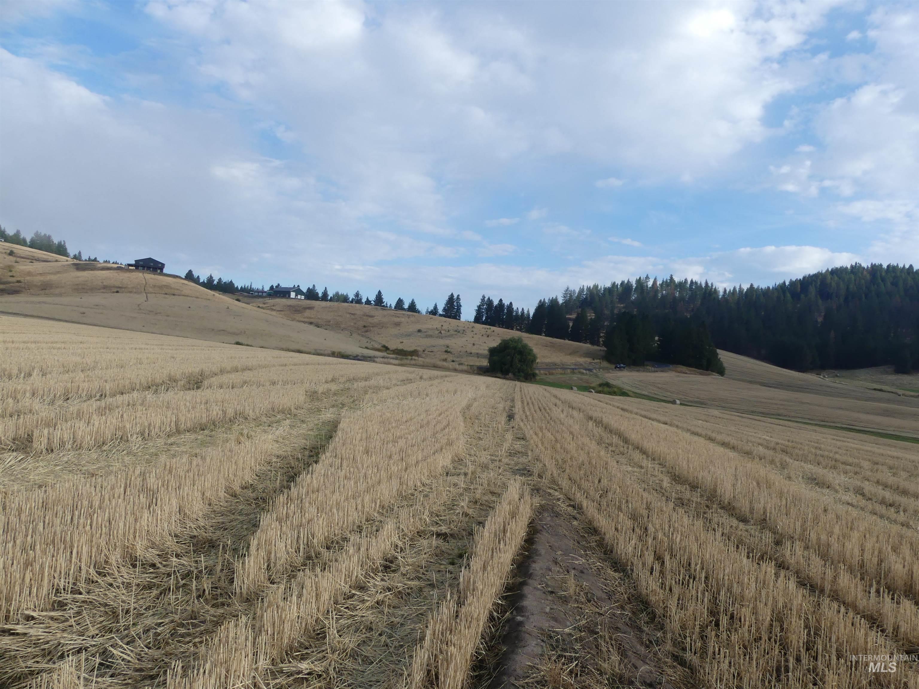 13525 Cavendish Hwy Property Photo 13
