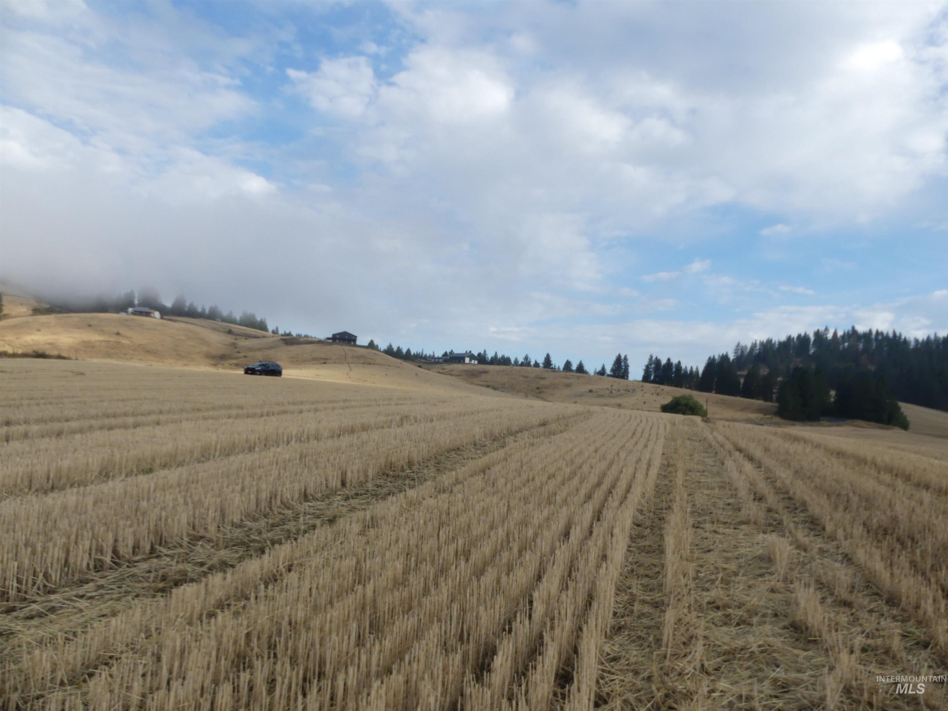 13525 Cavendish Hwy Property Photo 15