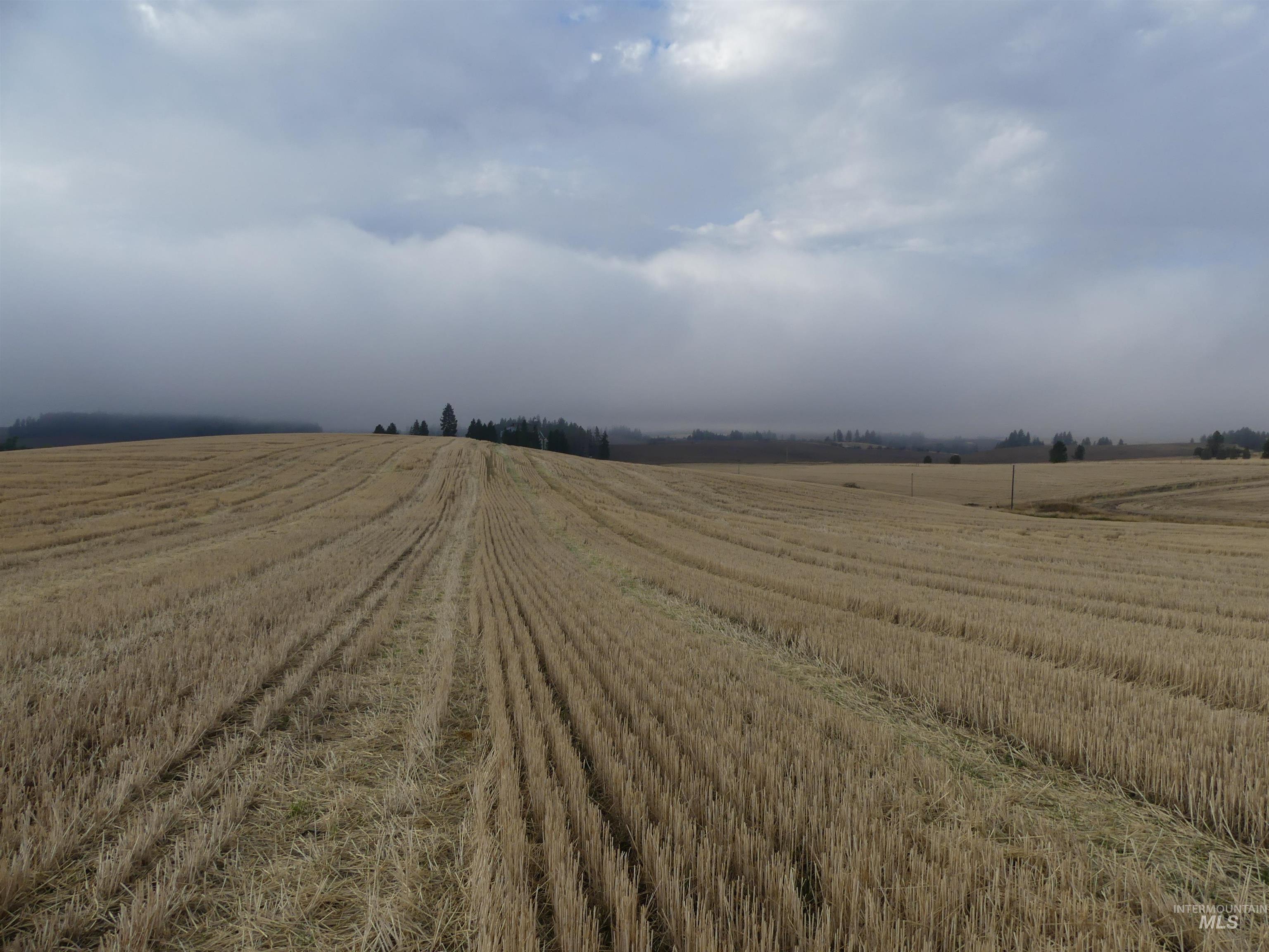 13525 Cavendish Hwy Property Photo 16