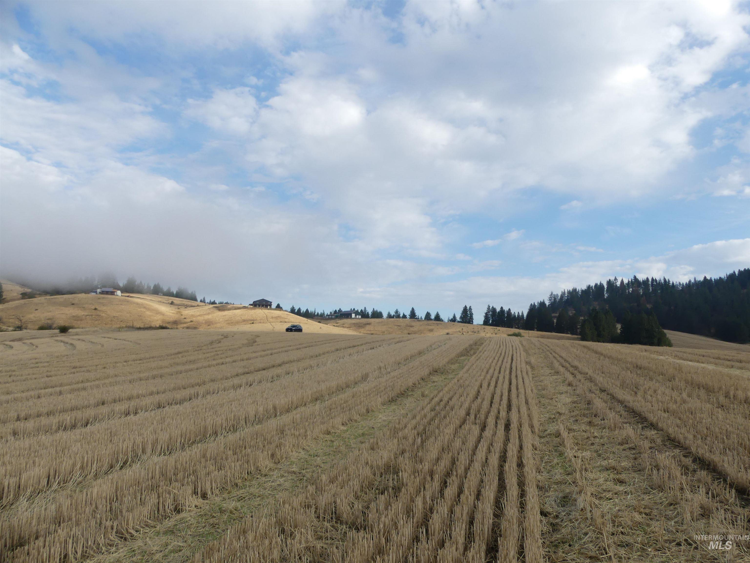 13525 Cavendish Hwy Property Photo 19