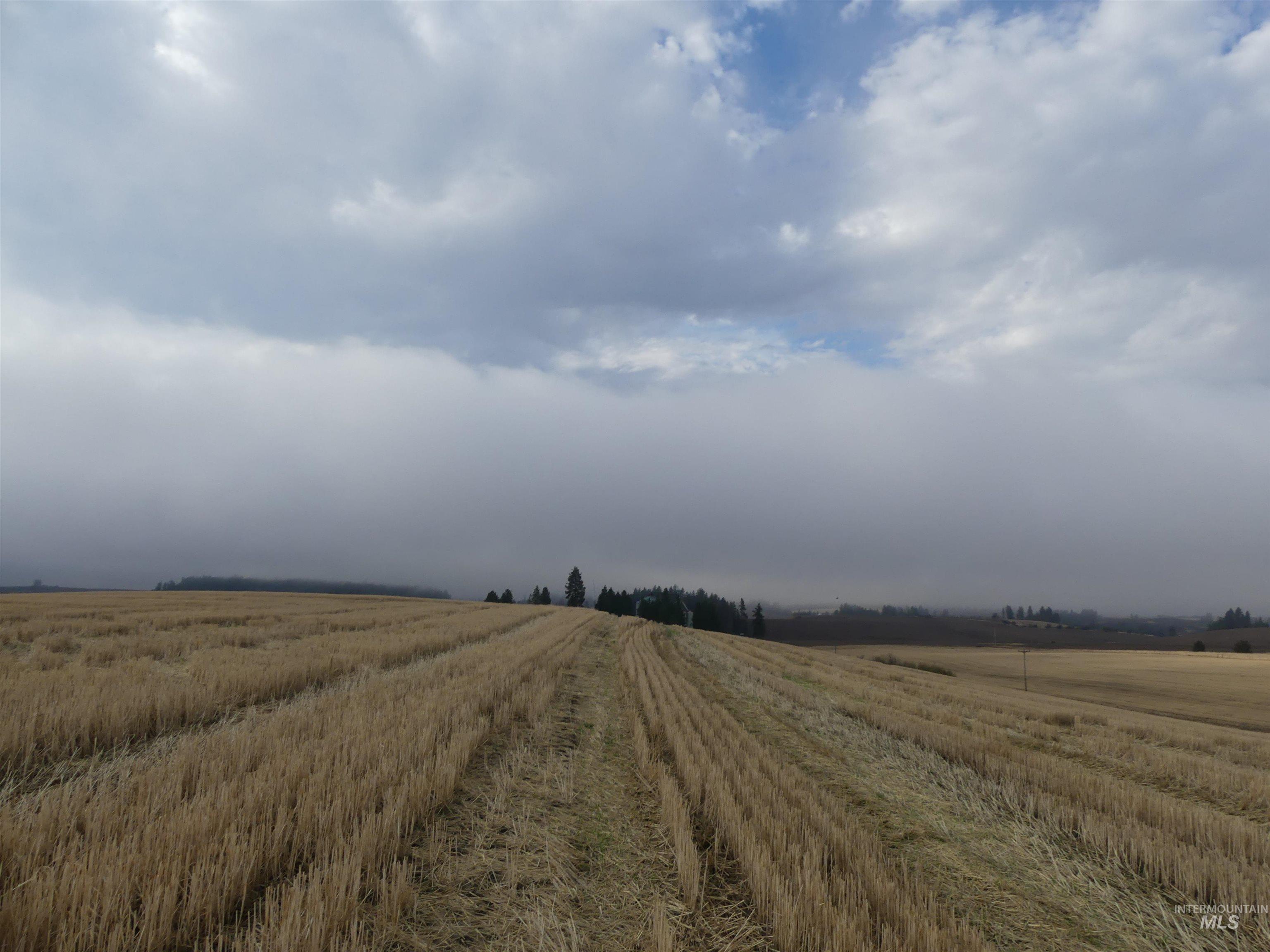 13525 Cavendish Hwy Property Photo 24