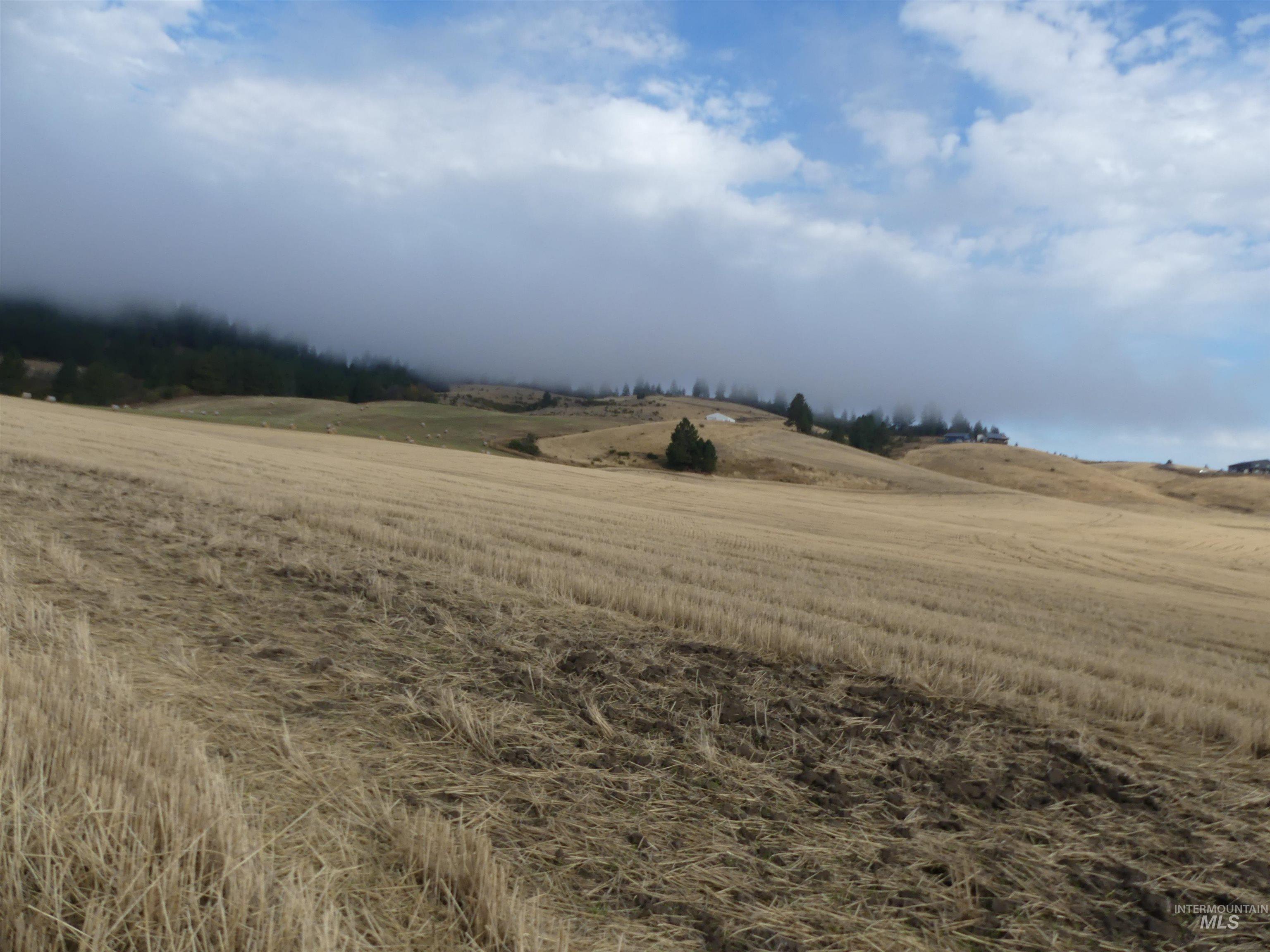 13500 Cavendish Hwy Property Photo 12